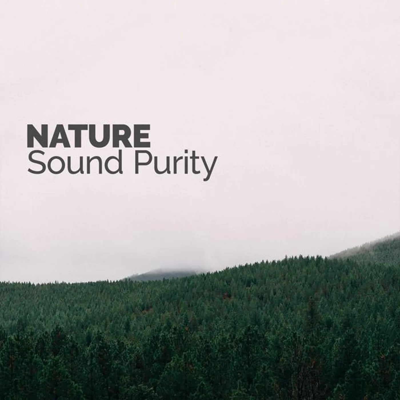 Nature Sounds Therapy