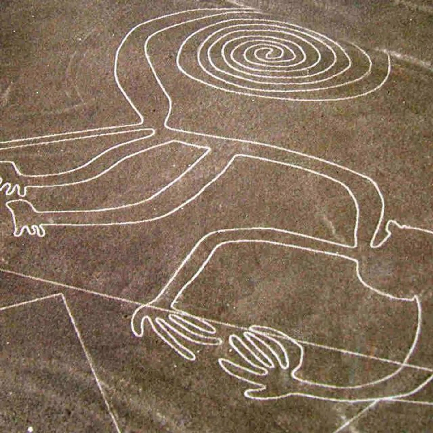 Nazca Brand Page