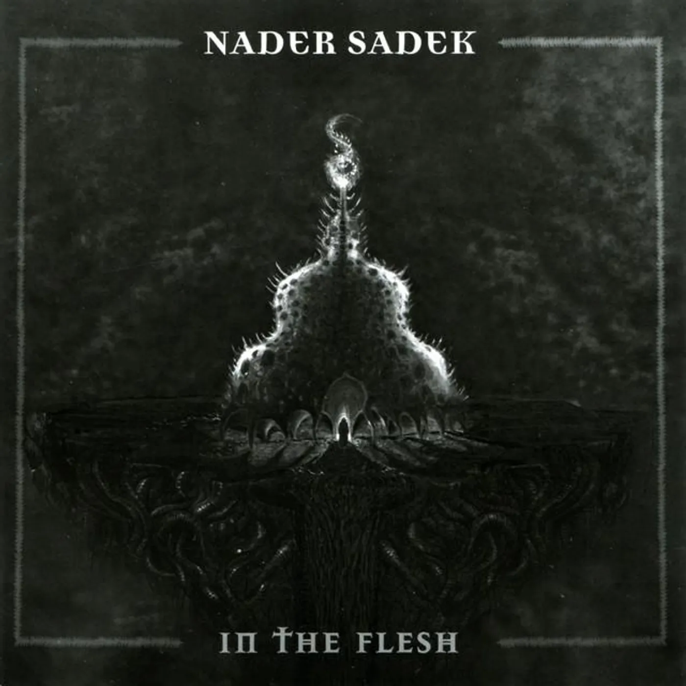 Nader Sadek Brand Page