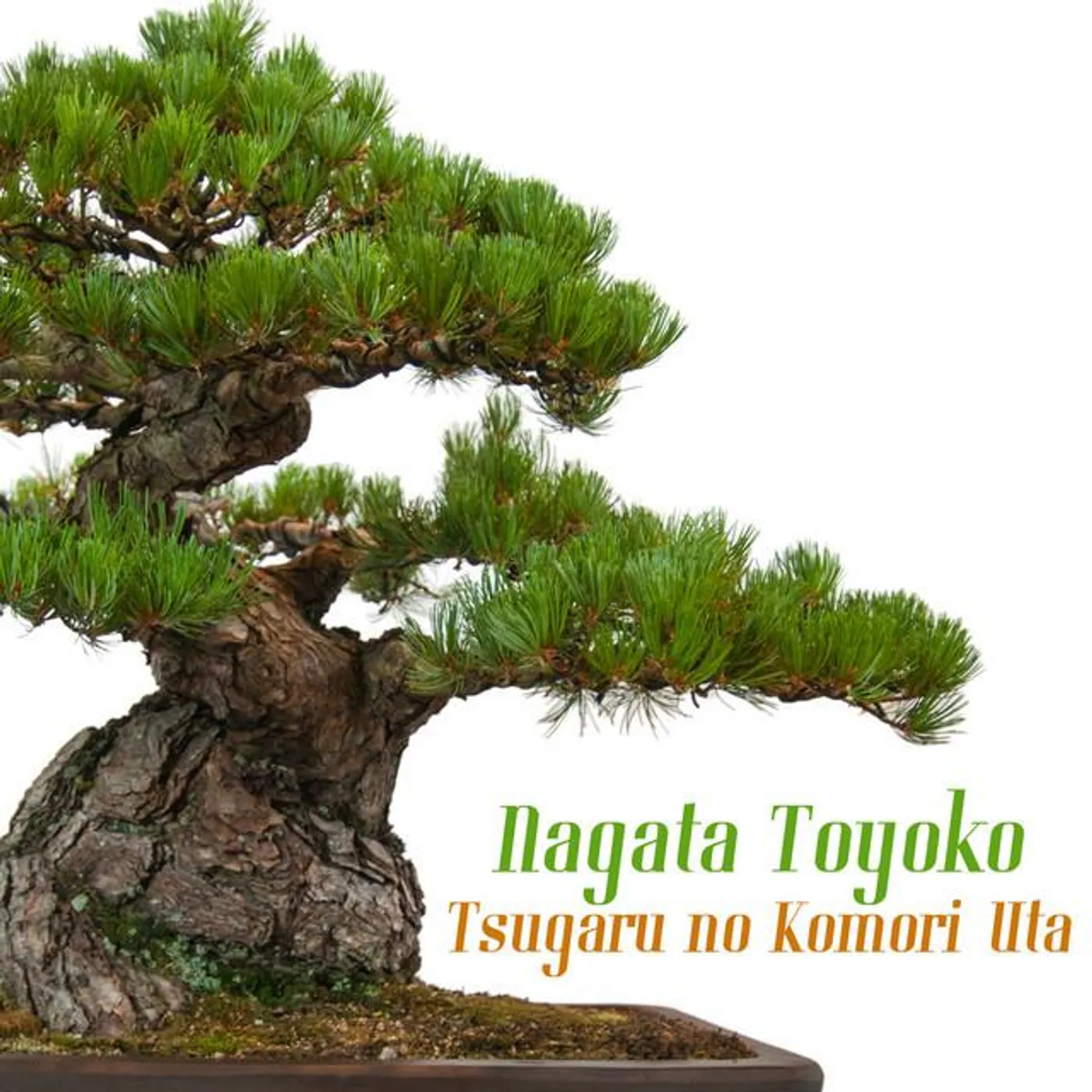 Nagata Toyoko