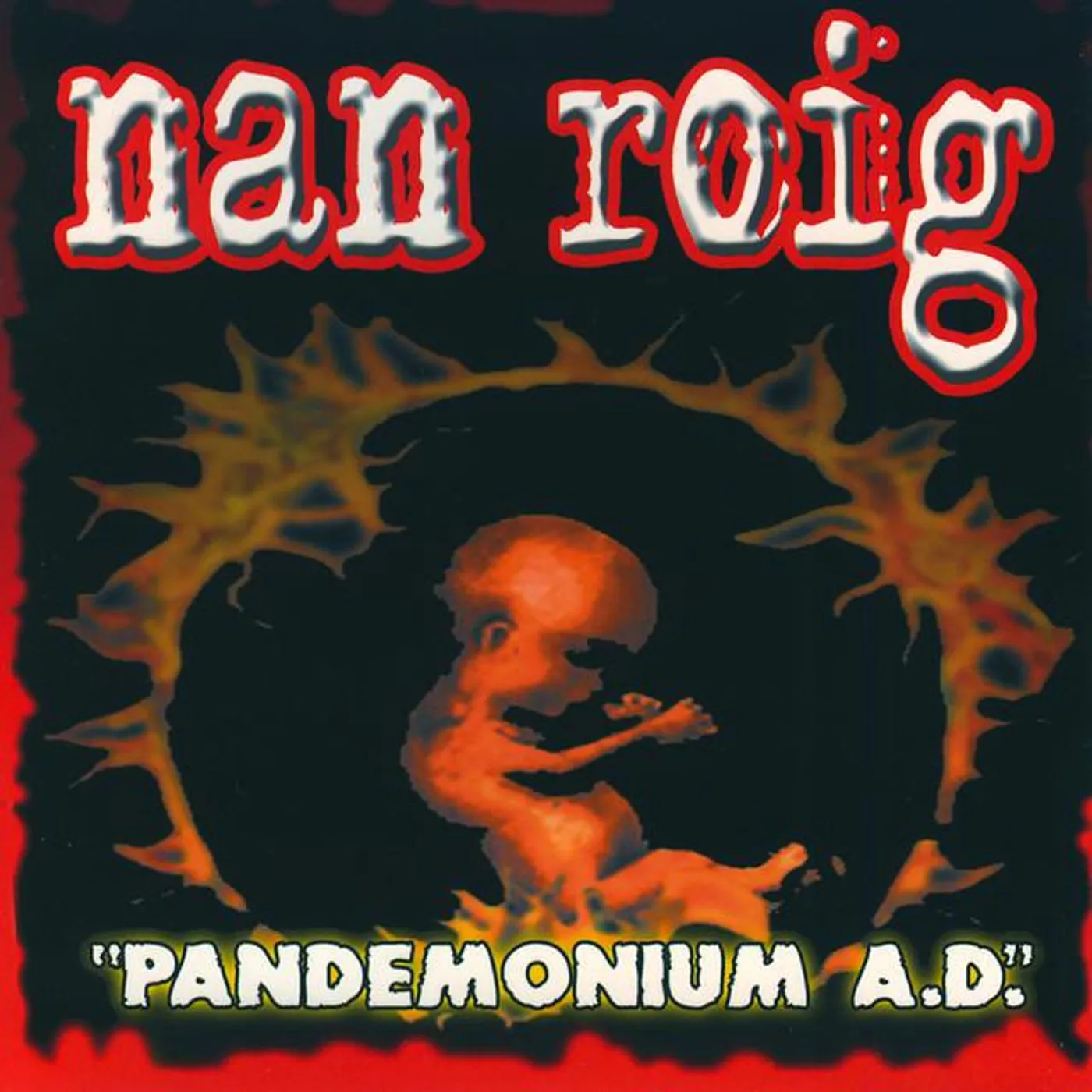 Nan Roig
