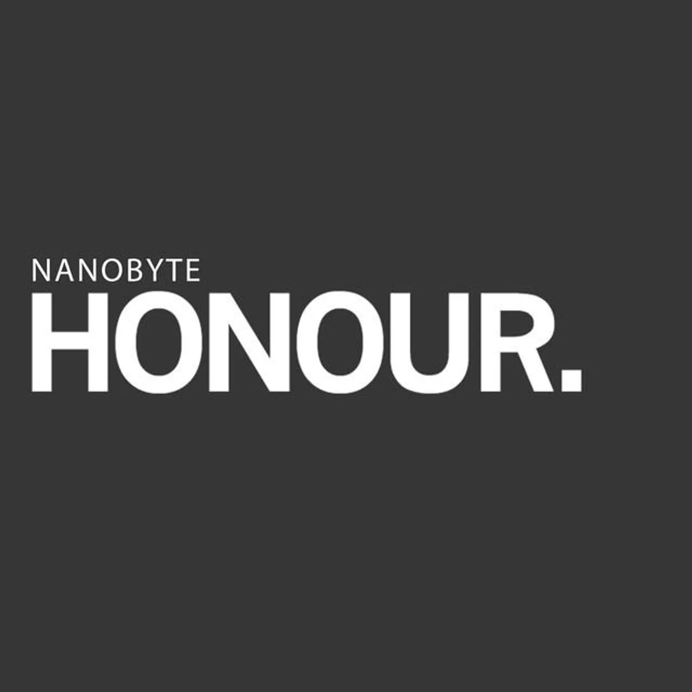 Nanobyte