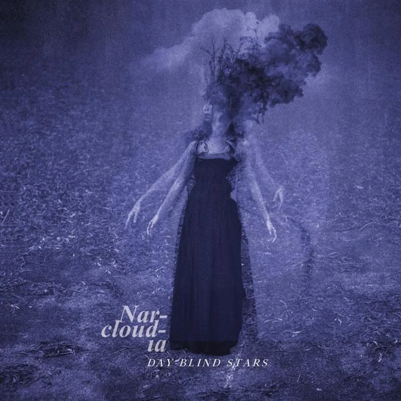 Narcloudia Brand Page