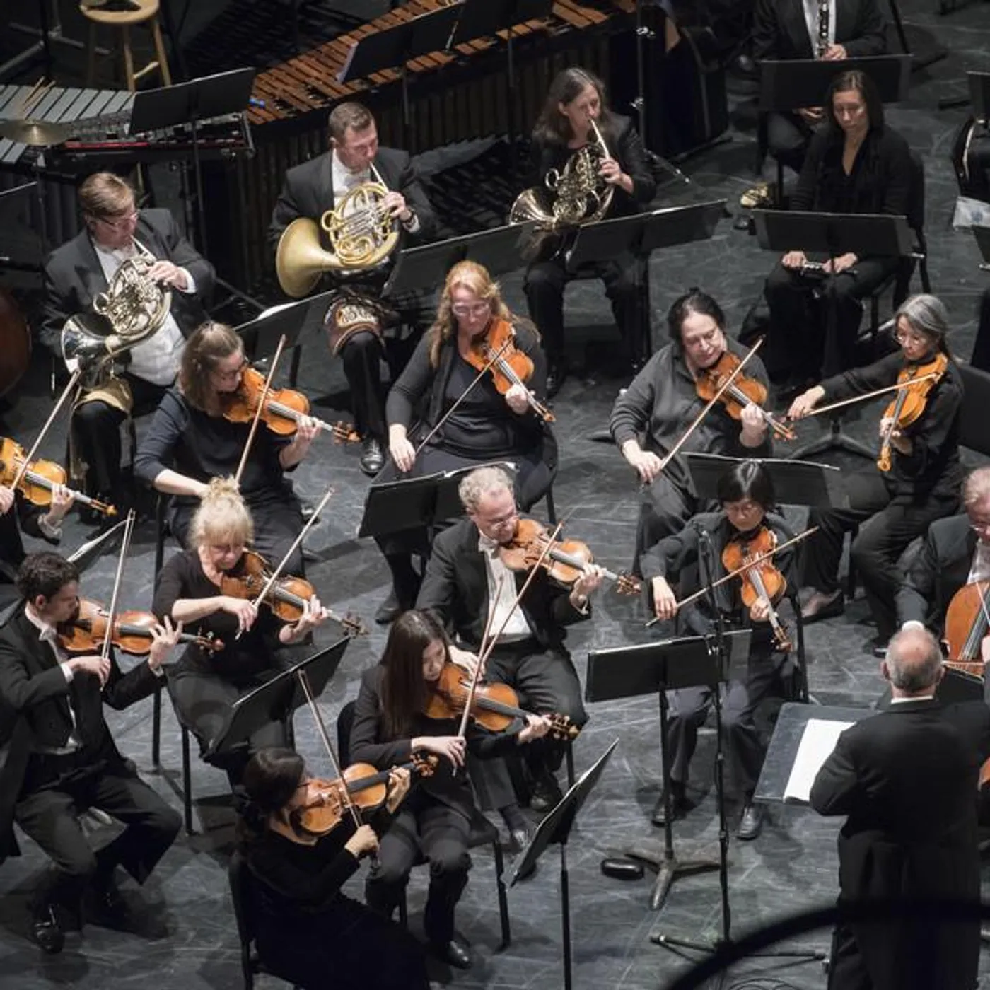 New Haven Symphony Orchestra