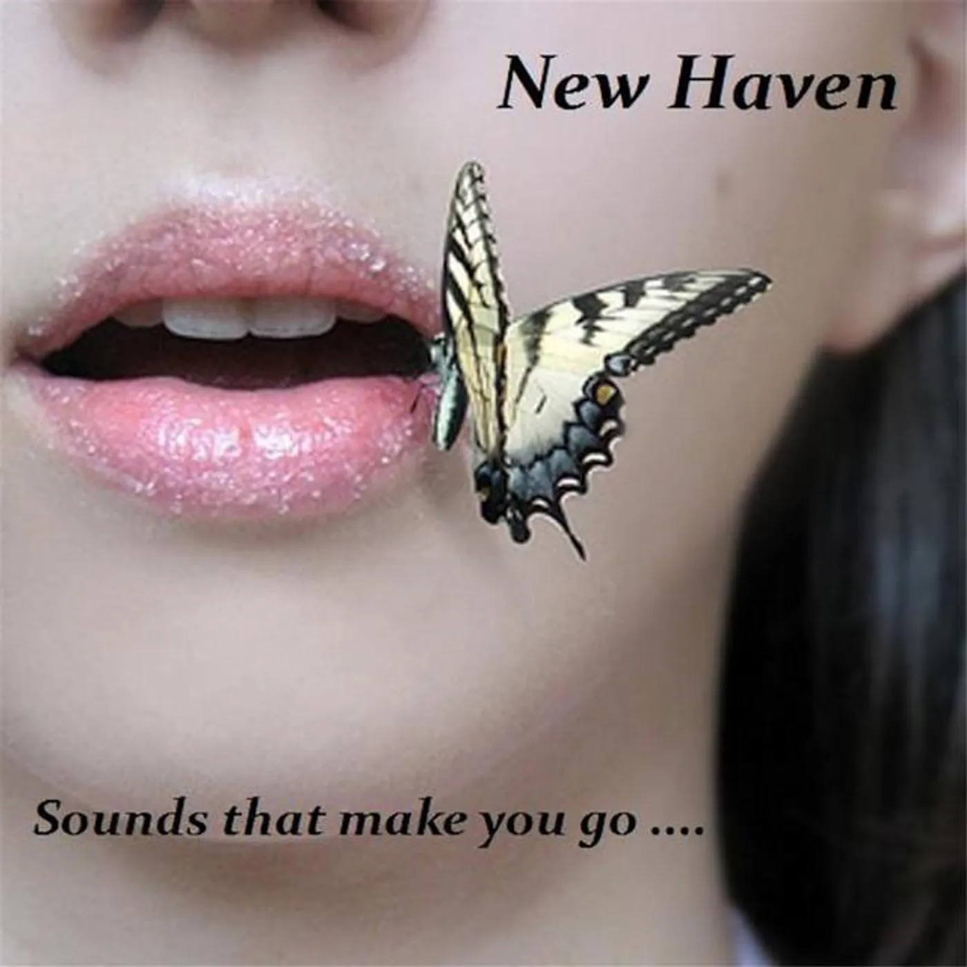 New Haven Brand Page