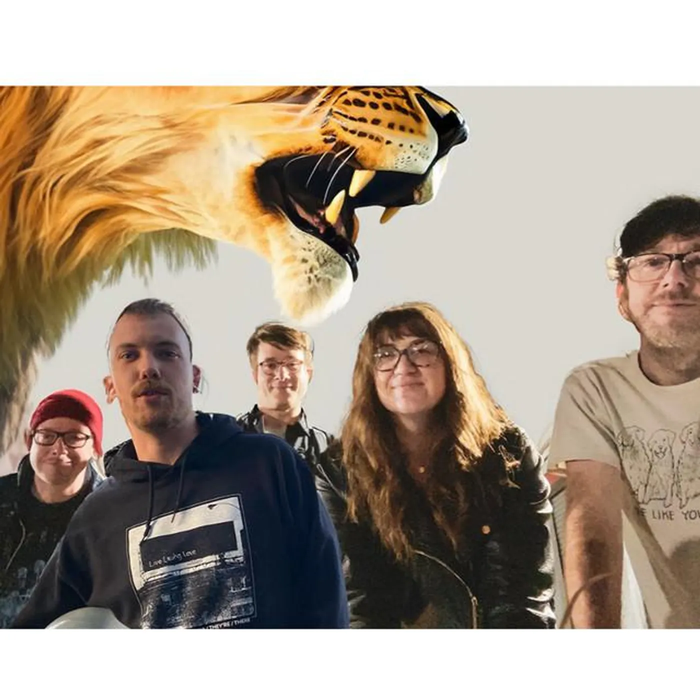 New Lions Brand Page