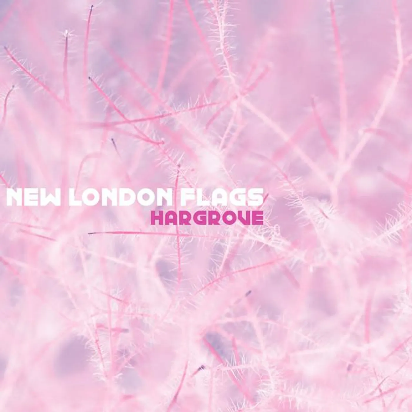 New London Flags