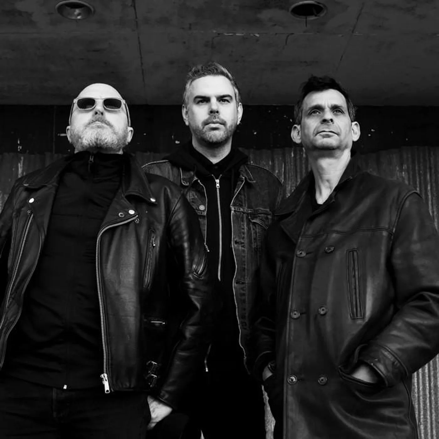 Newtown Neurotics Brand Page