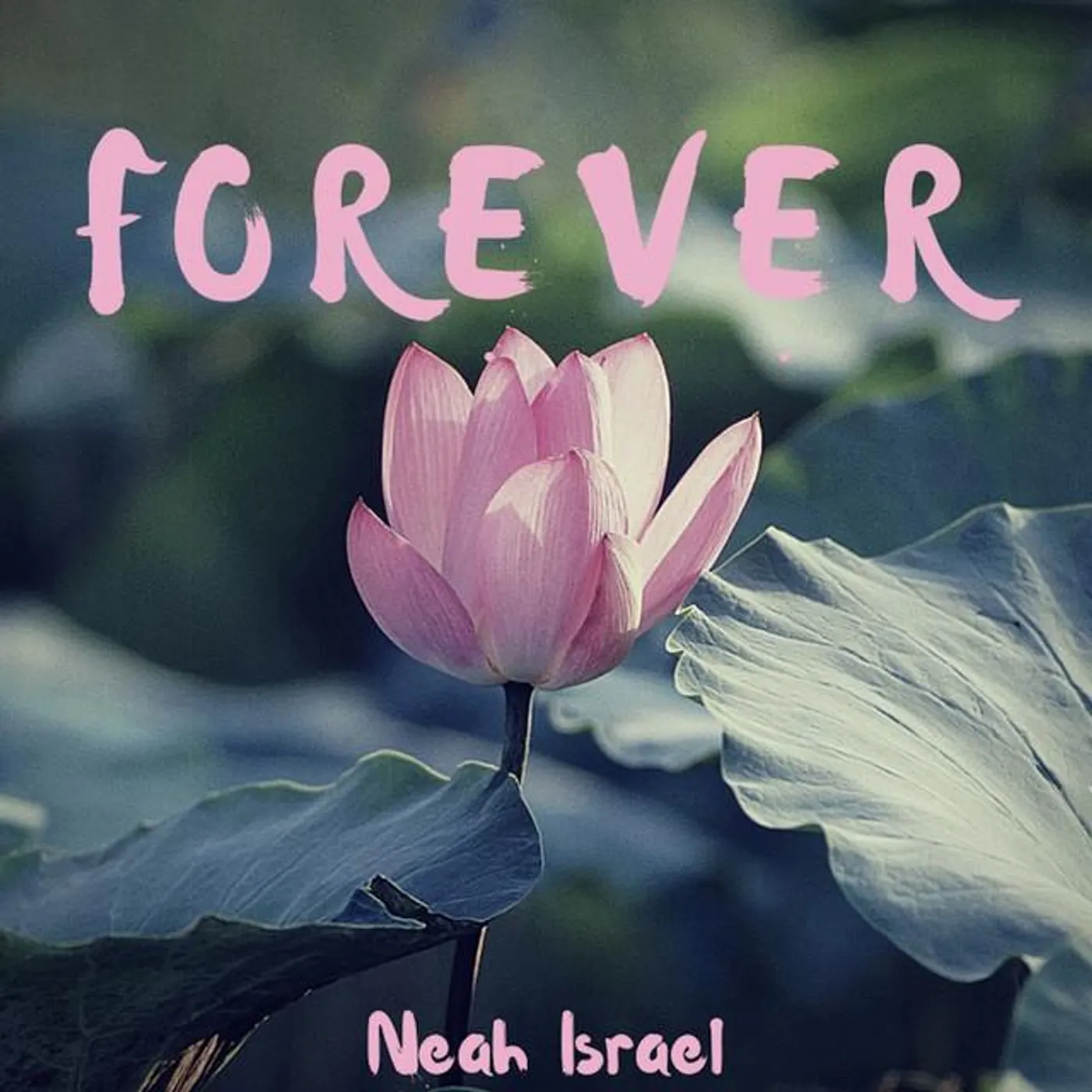 Neah Israel Brand Page