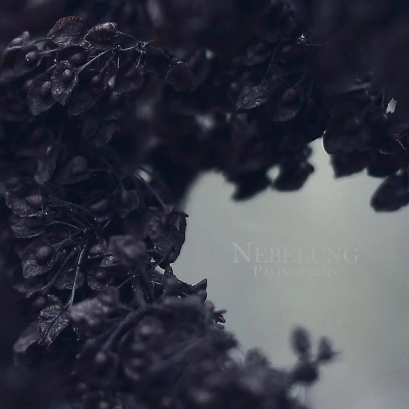 Nebelung Brand Page