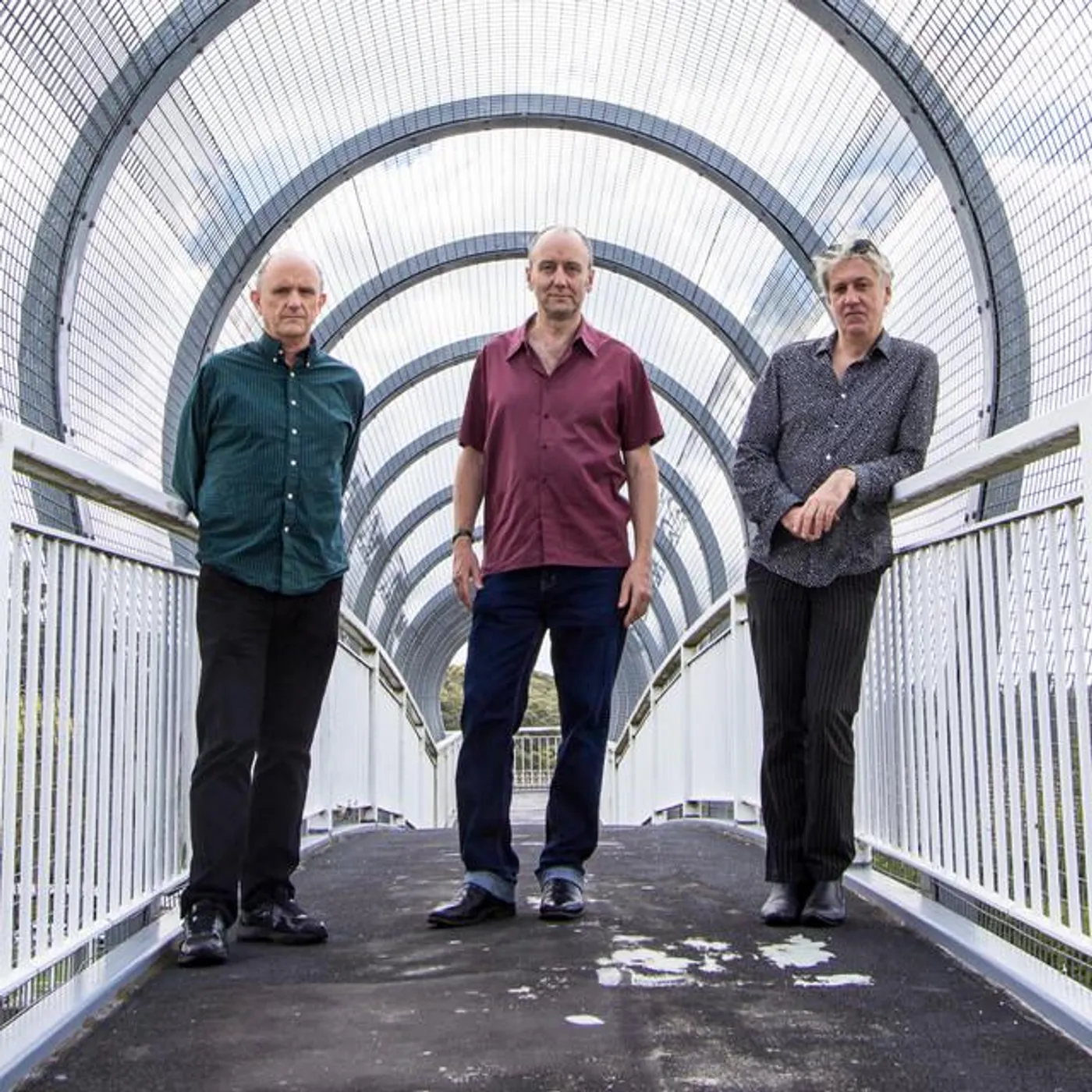 The Necks Brand Page