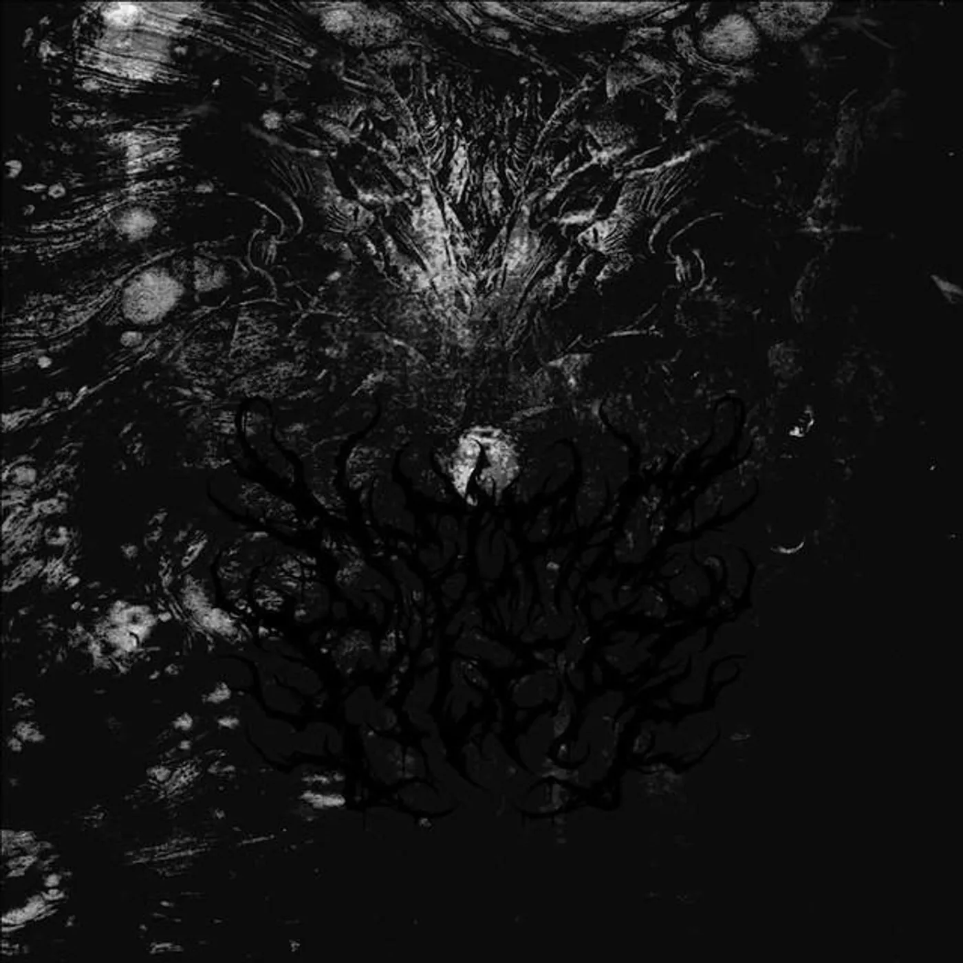 Necrofiler