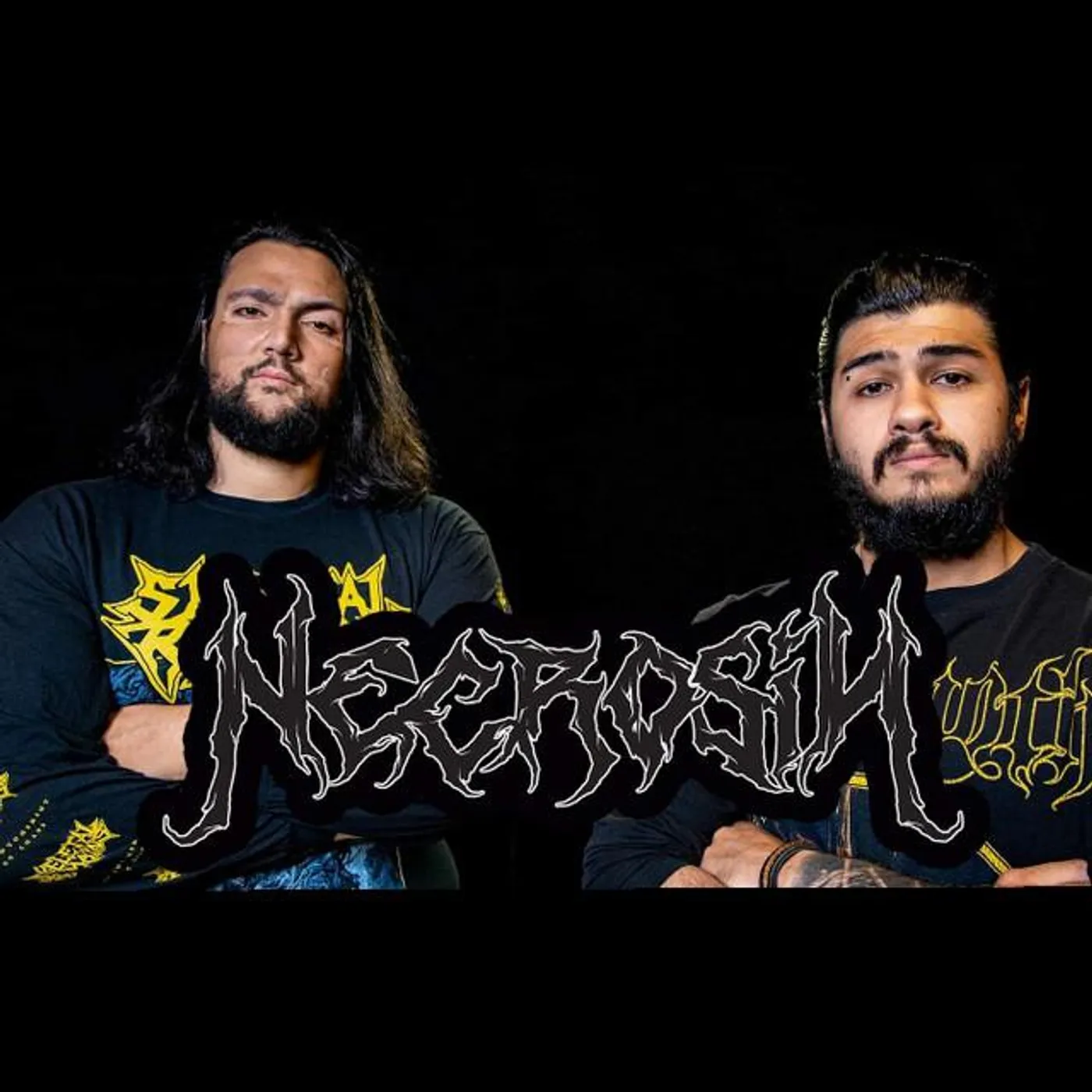 Necrosin Brand Page