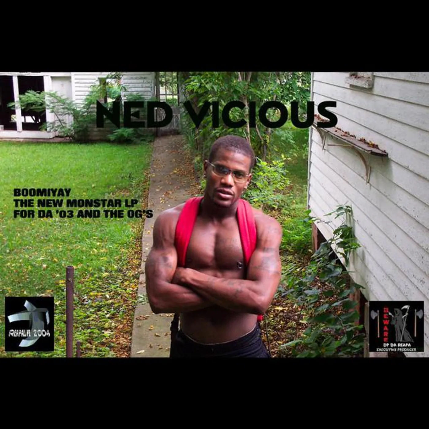 Ned Vicious