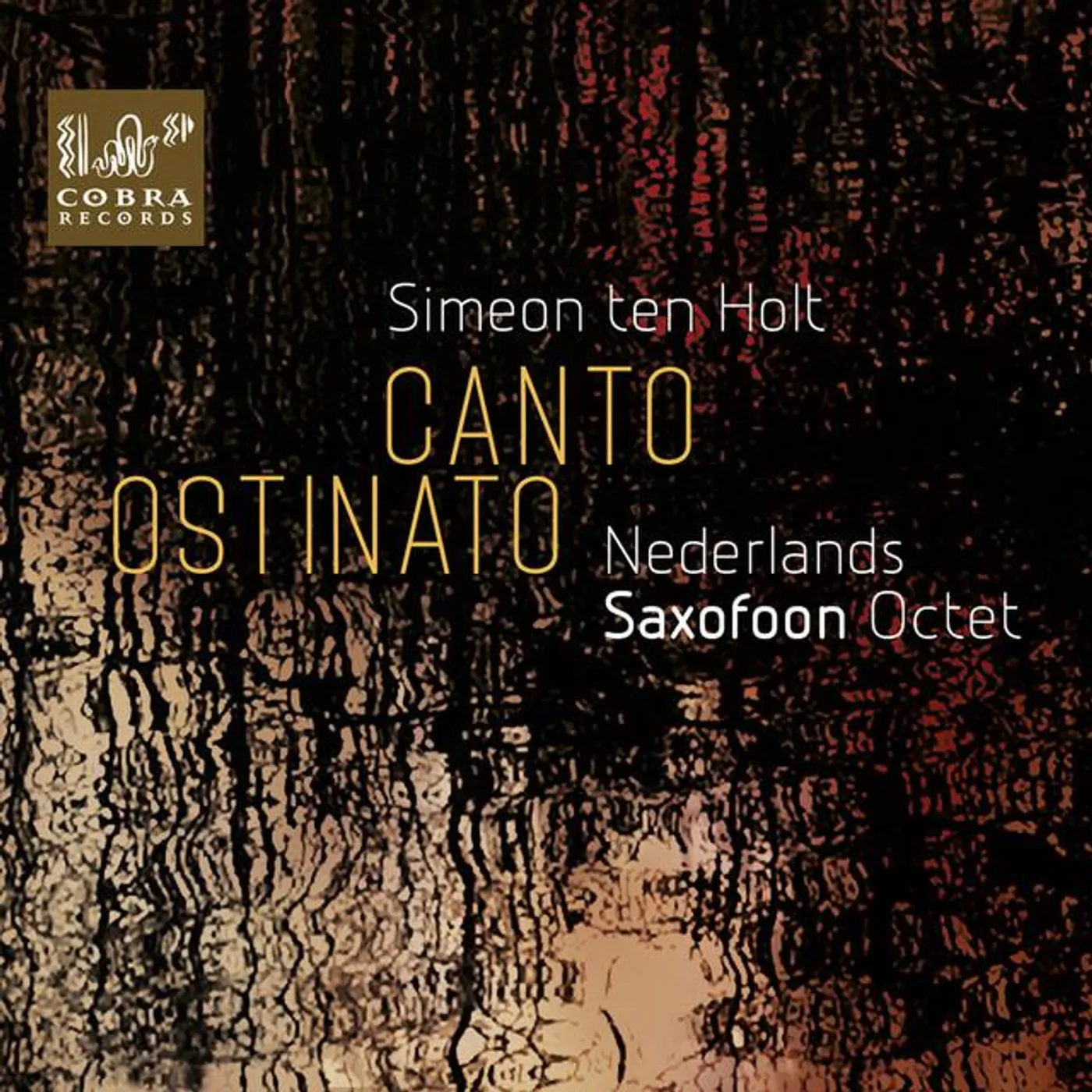 Nederlands Saxofoon Octet Brand Page