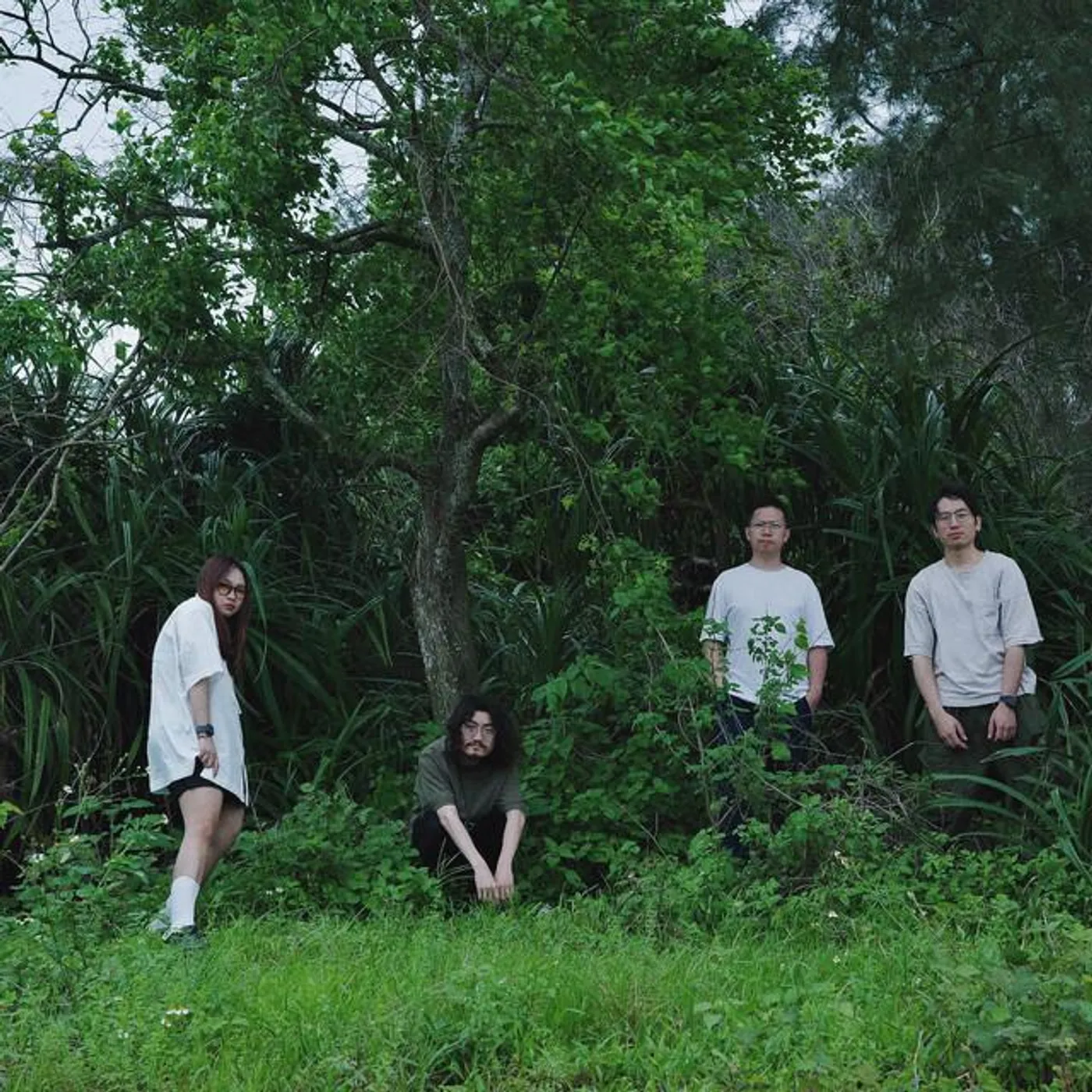 Nein Or Gas Mus Brand Page