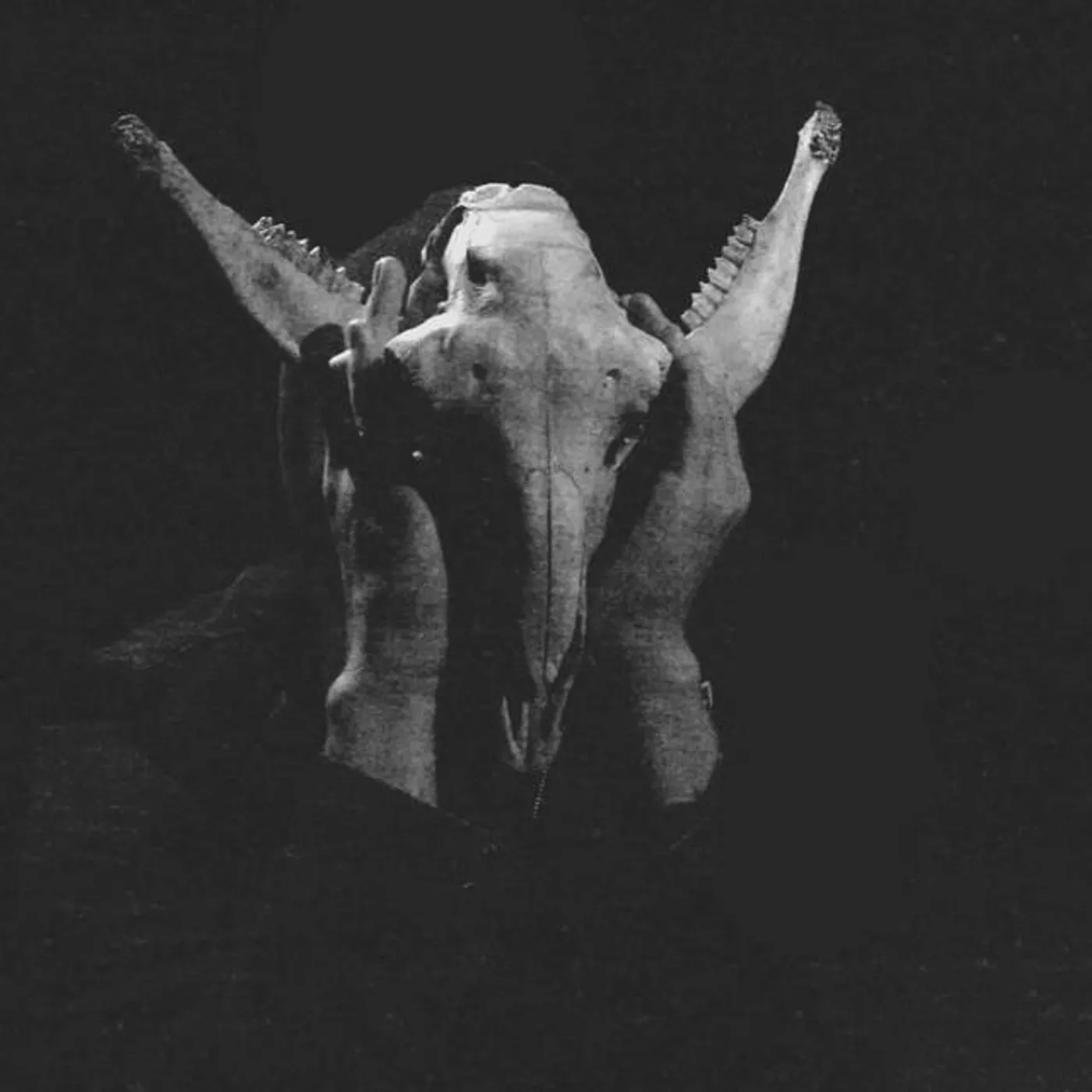 Nekrodeus Brand Page