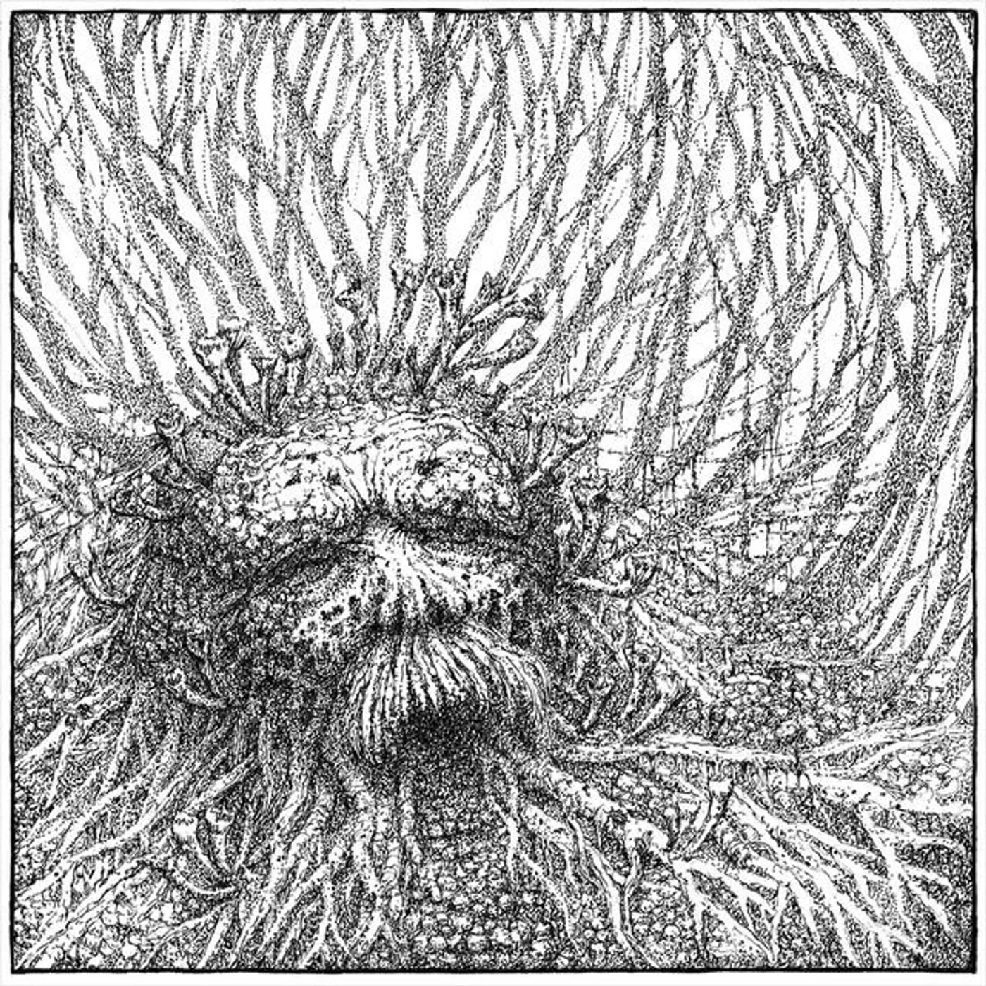 Nemorous Brand Page