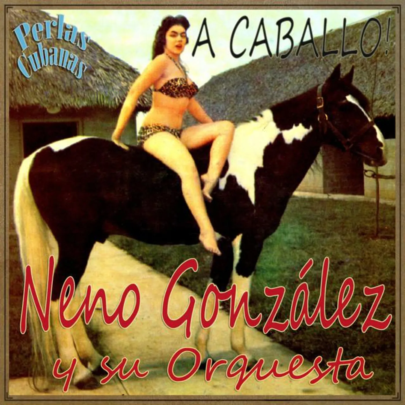 Neno Gonzalez Y Su Orquesta Brand Page