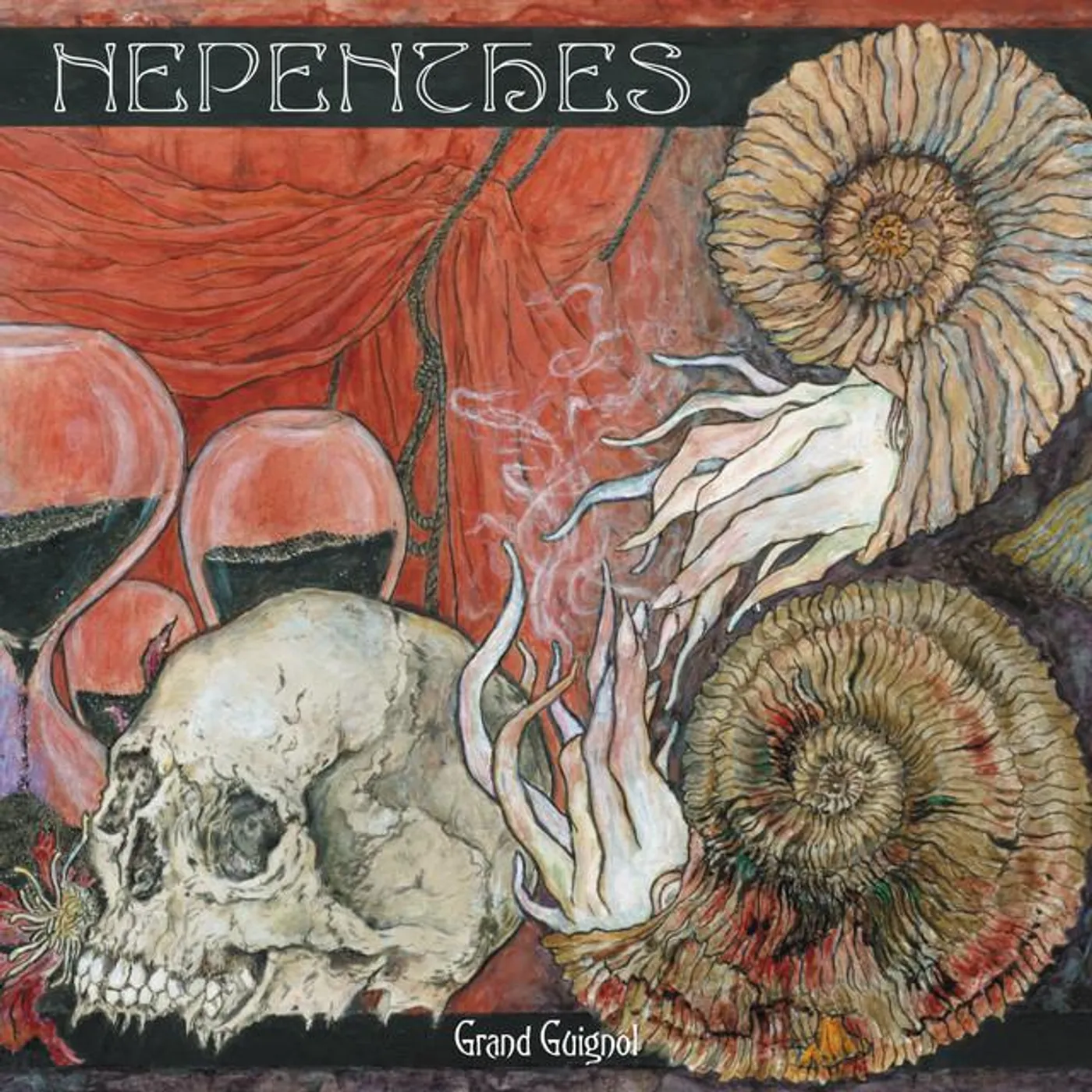 Nepenthes
