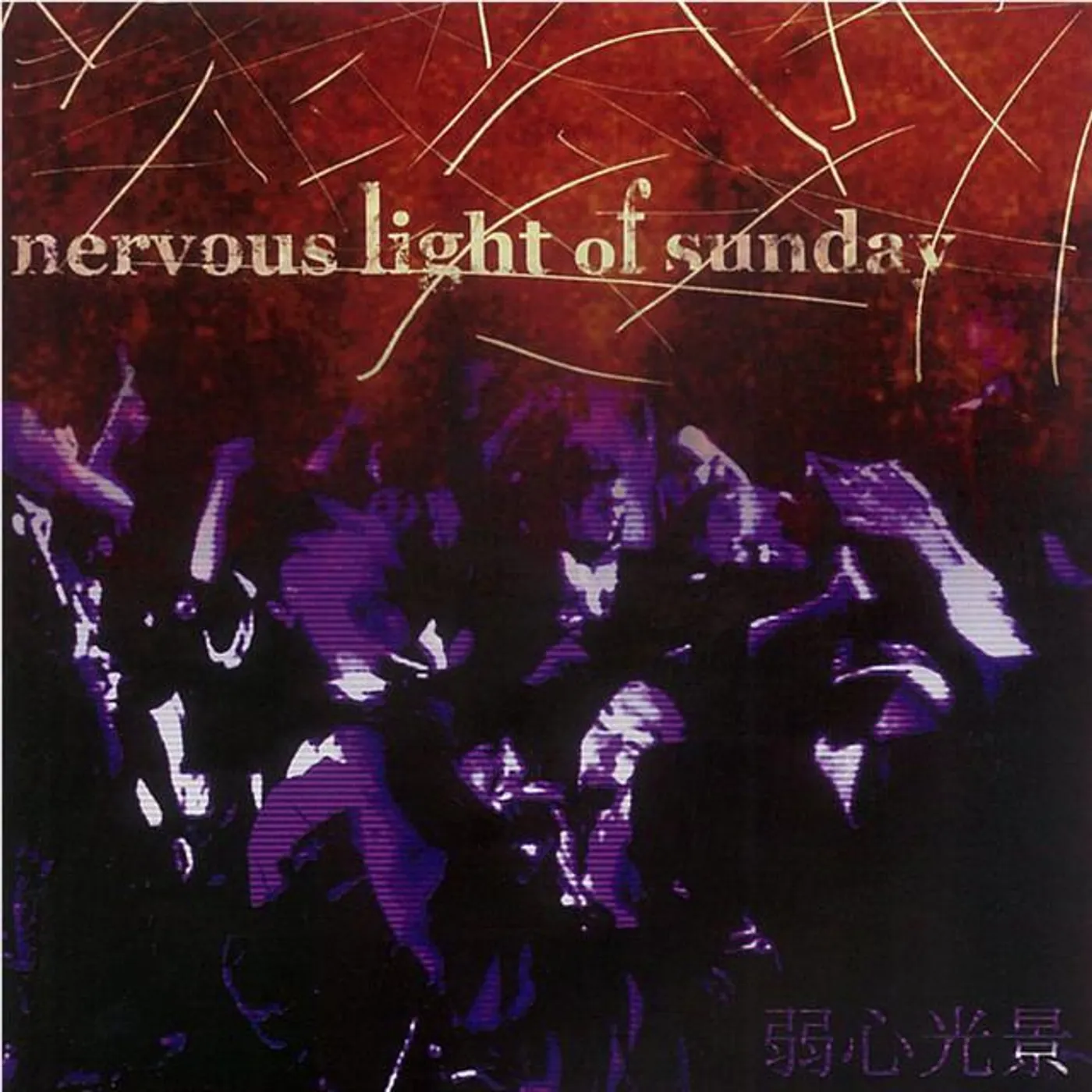 nervous light of sunday Brand Page