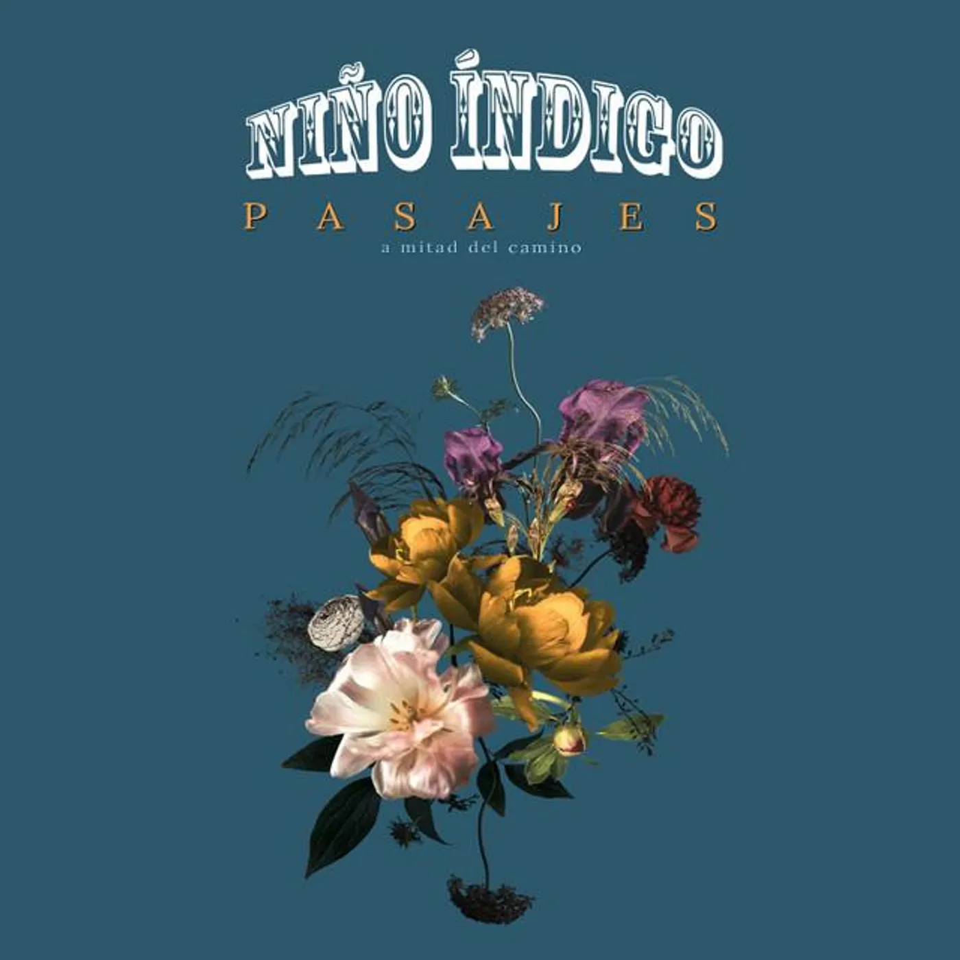 Niño Índigo