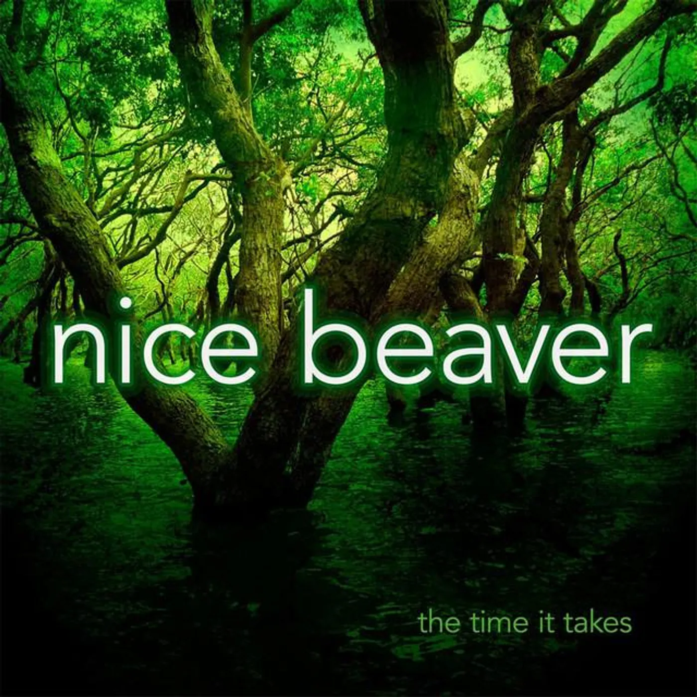 Nice Beaver