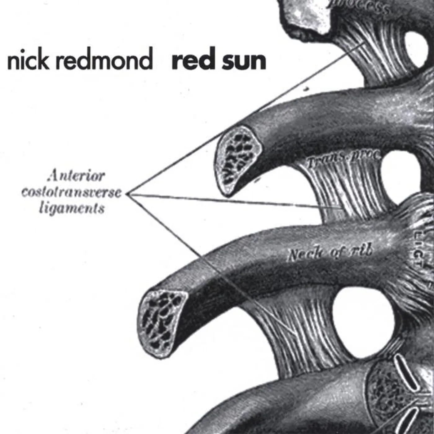 Nick Redmond Brand Page