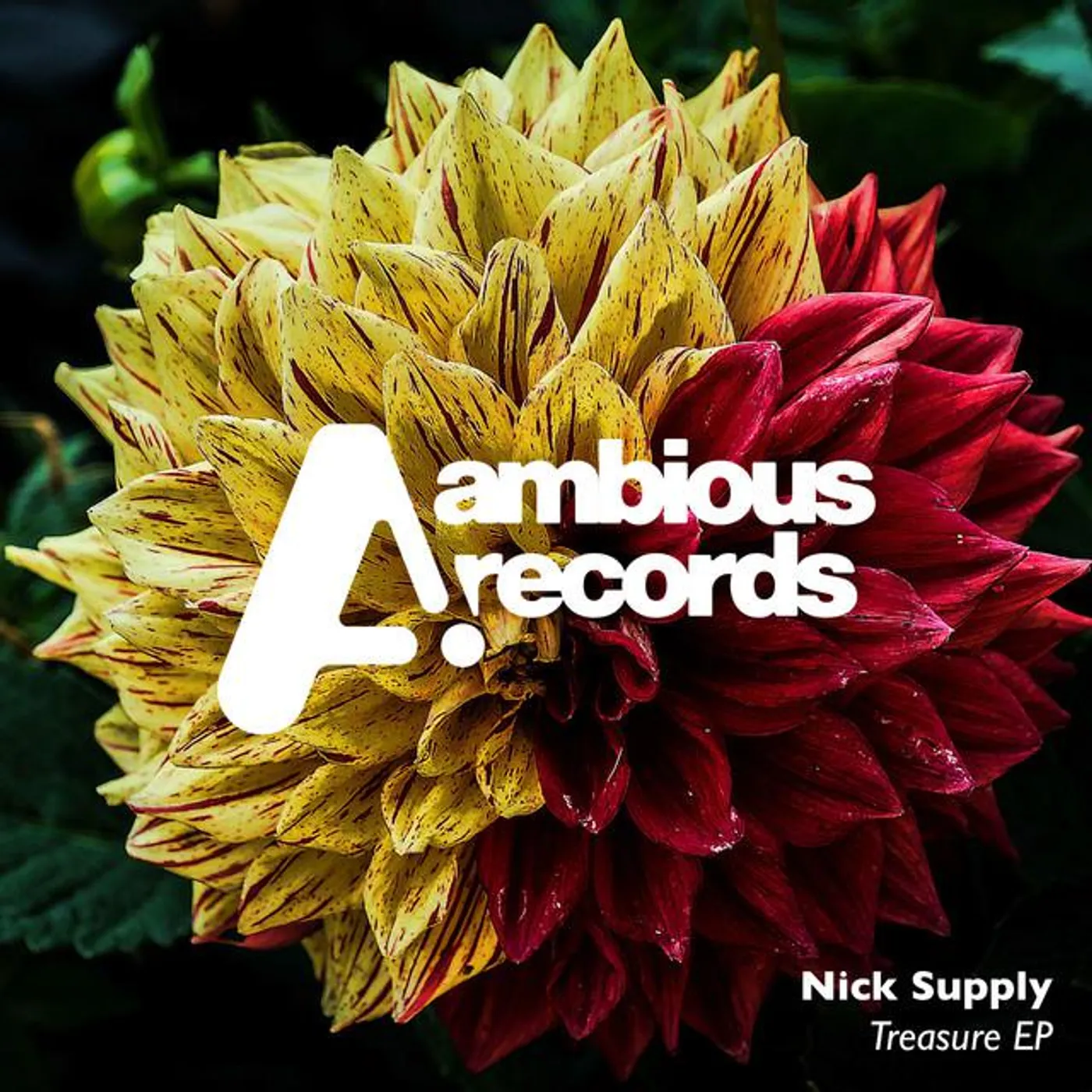 Nick Supply