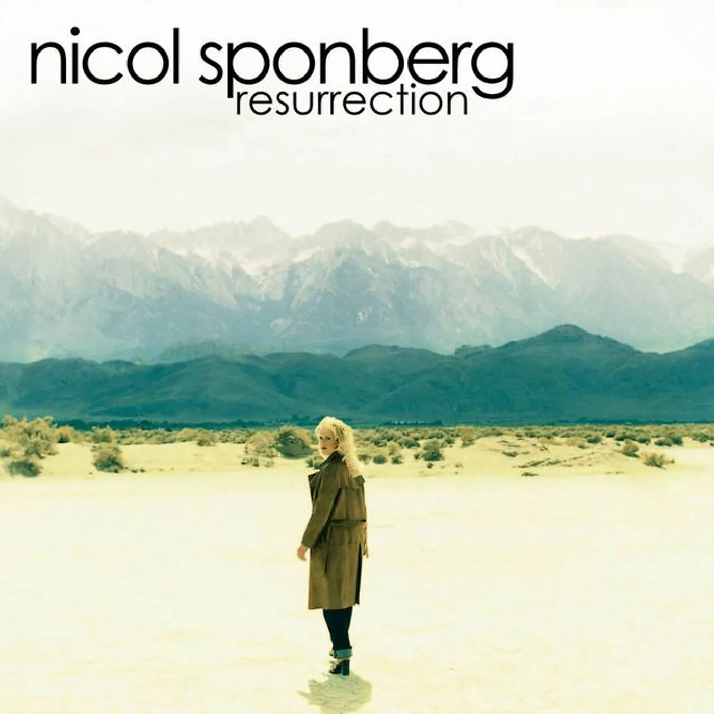 Nicol Sponberg