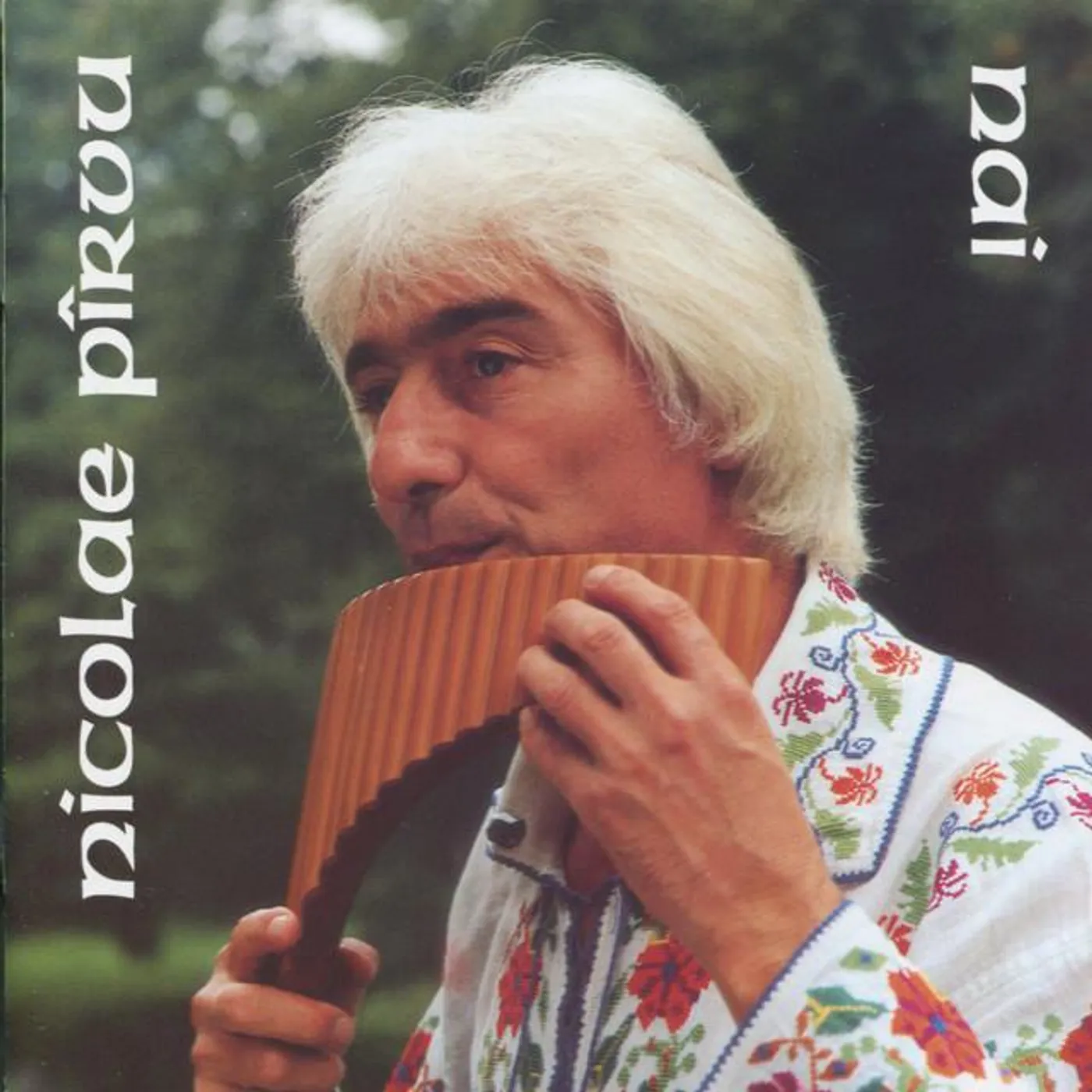 Nicolae Pîrvu