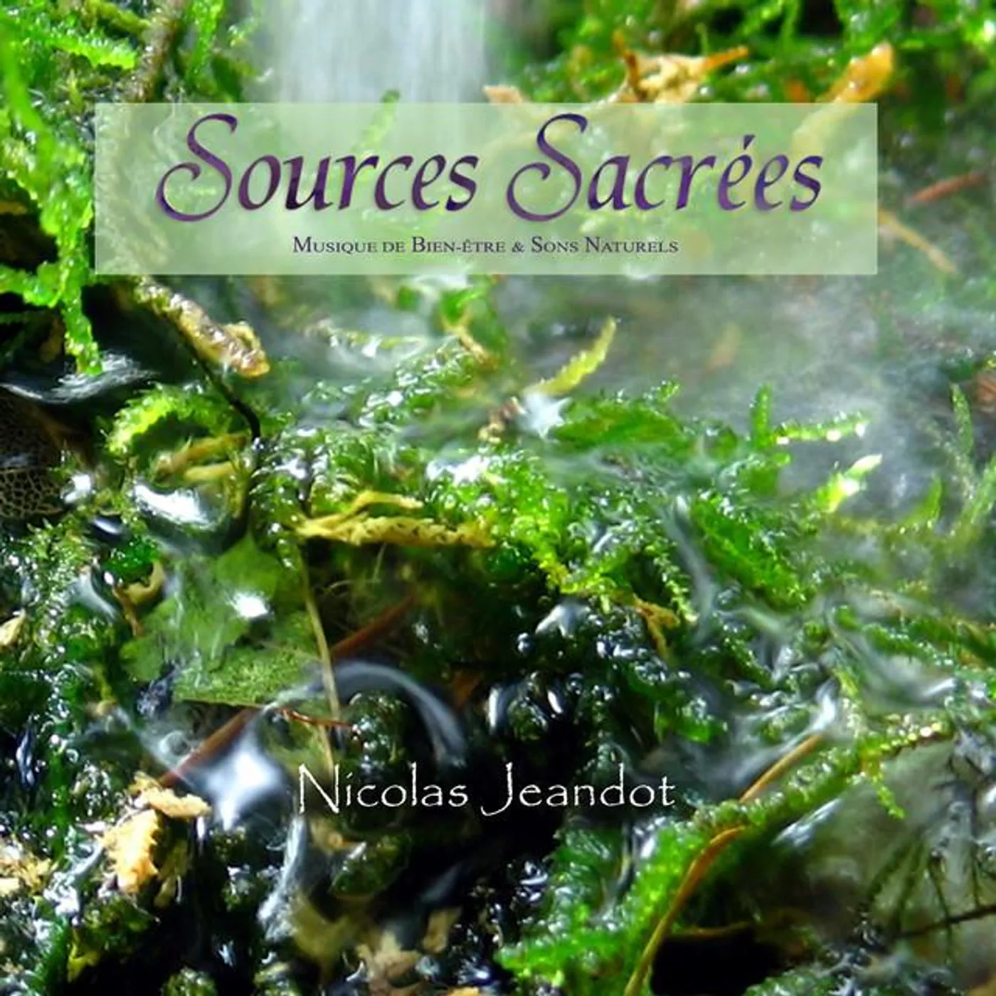 Nicolas Jeandot Brand Page