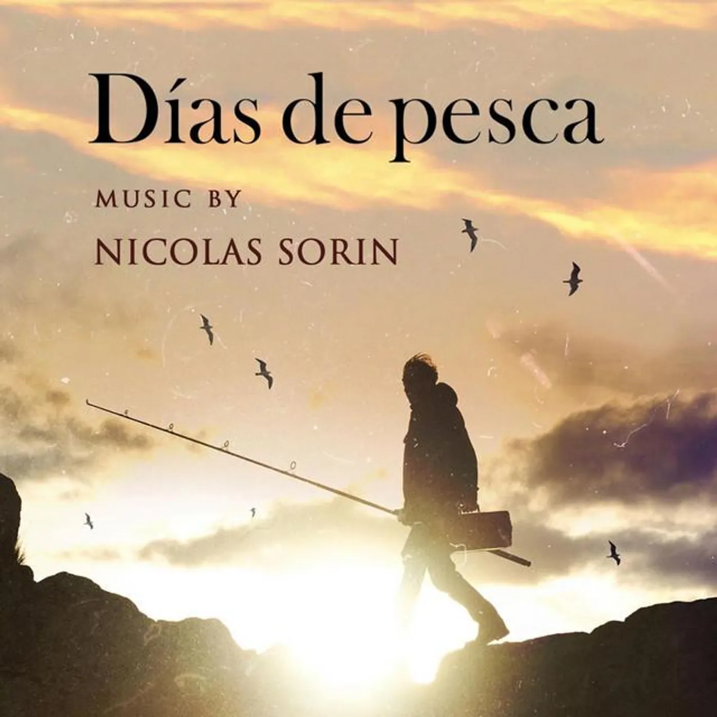 Nicolas Sorin
