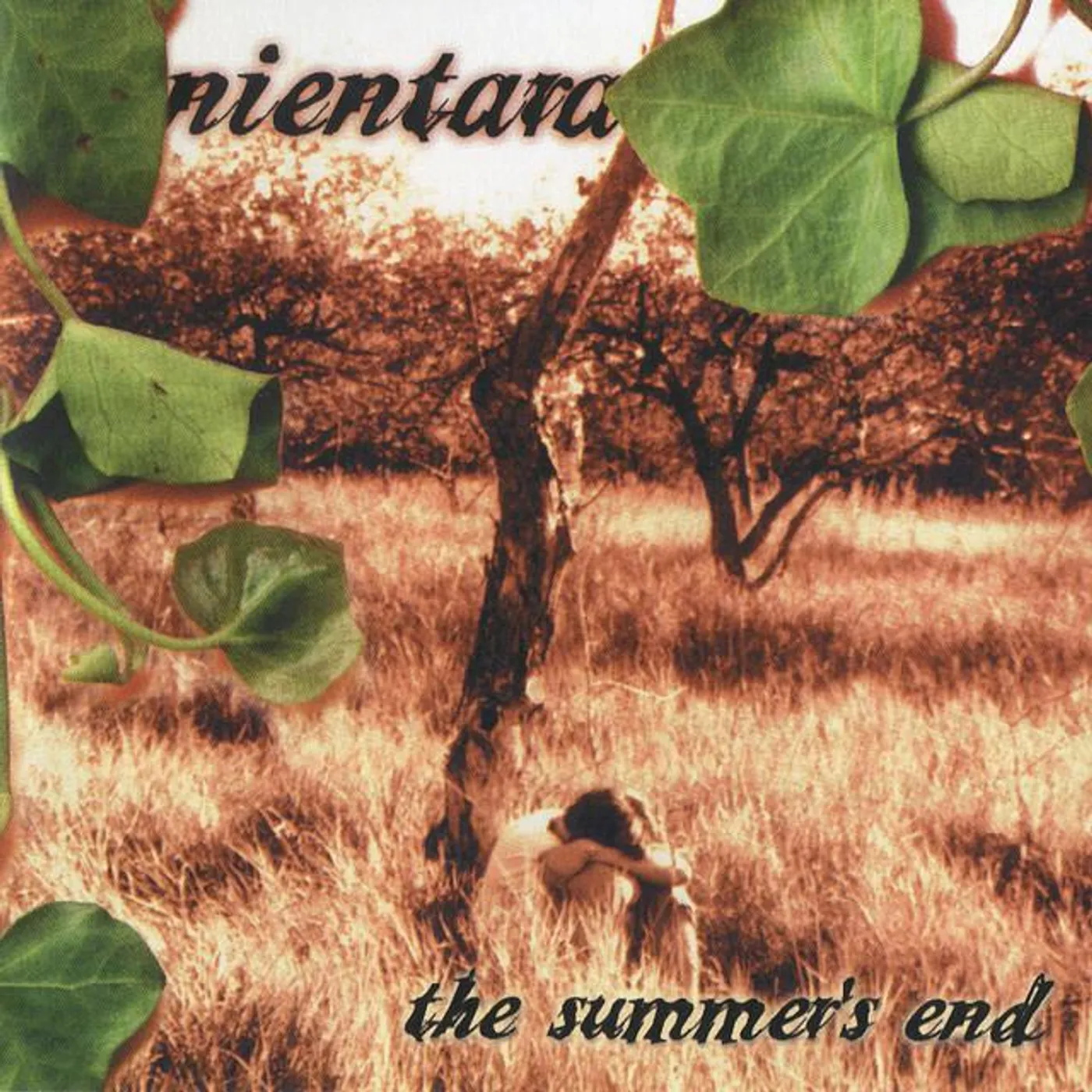 Nientara Brand Page