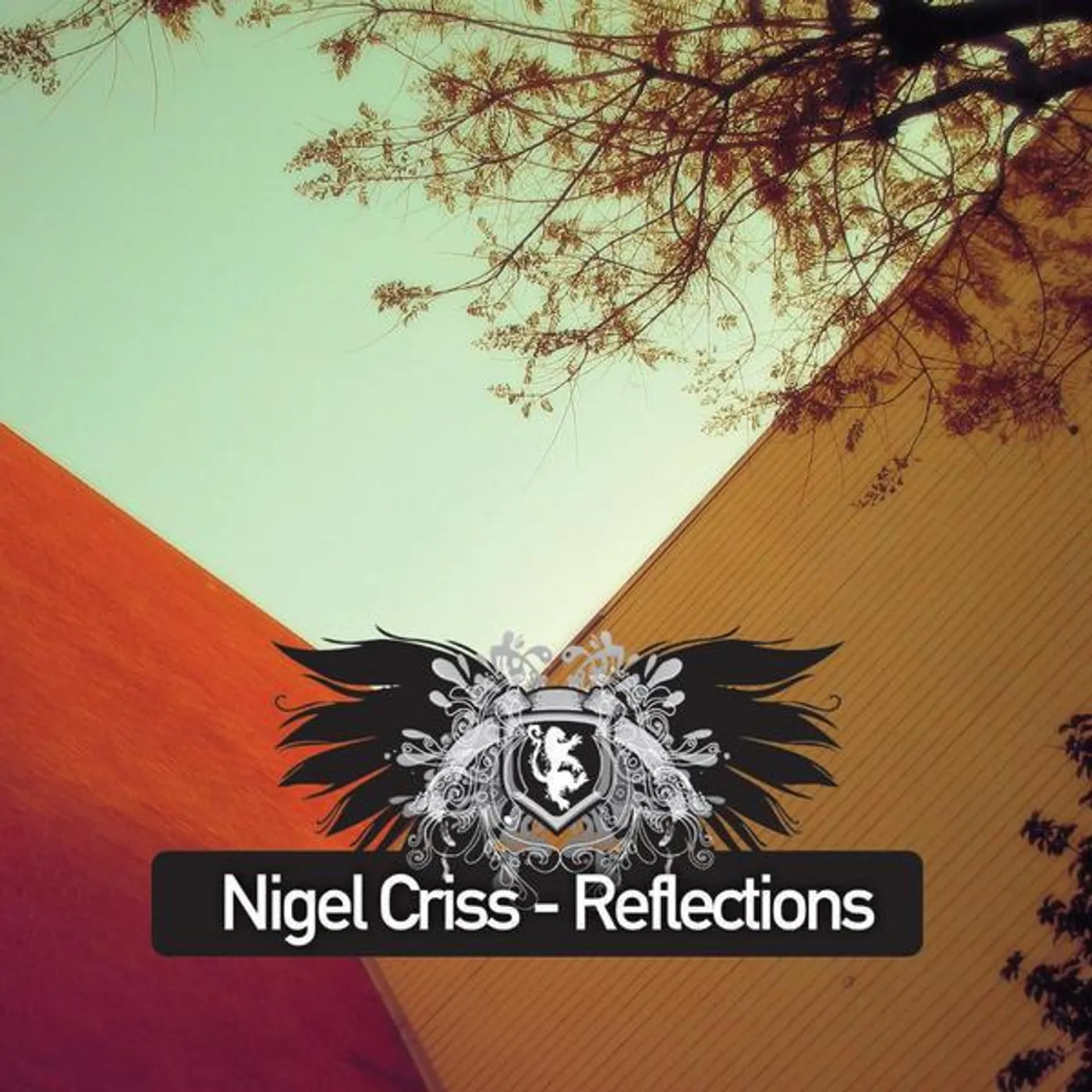 Nigel Criss
