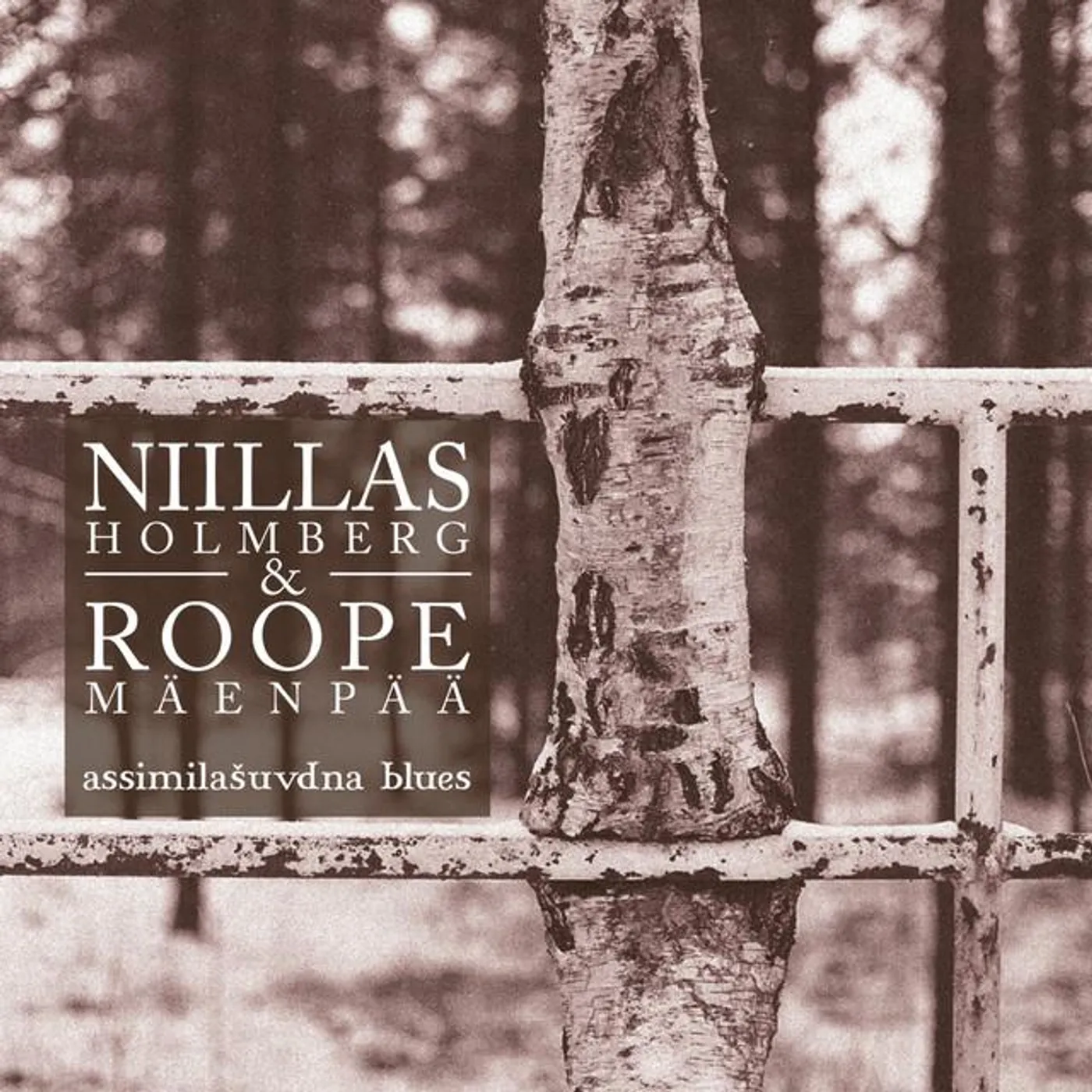 Niillas Holmberg & Roope Mäenpää