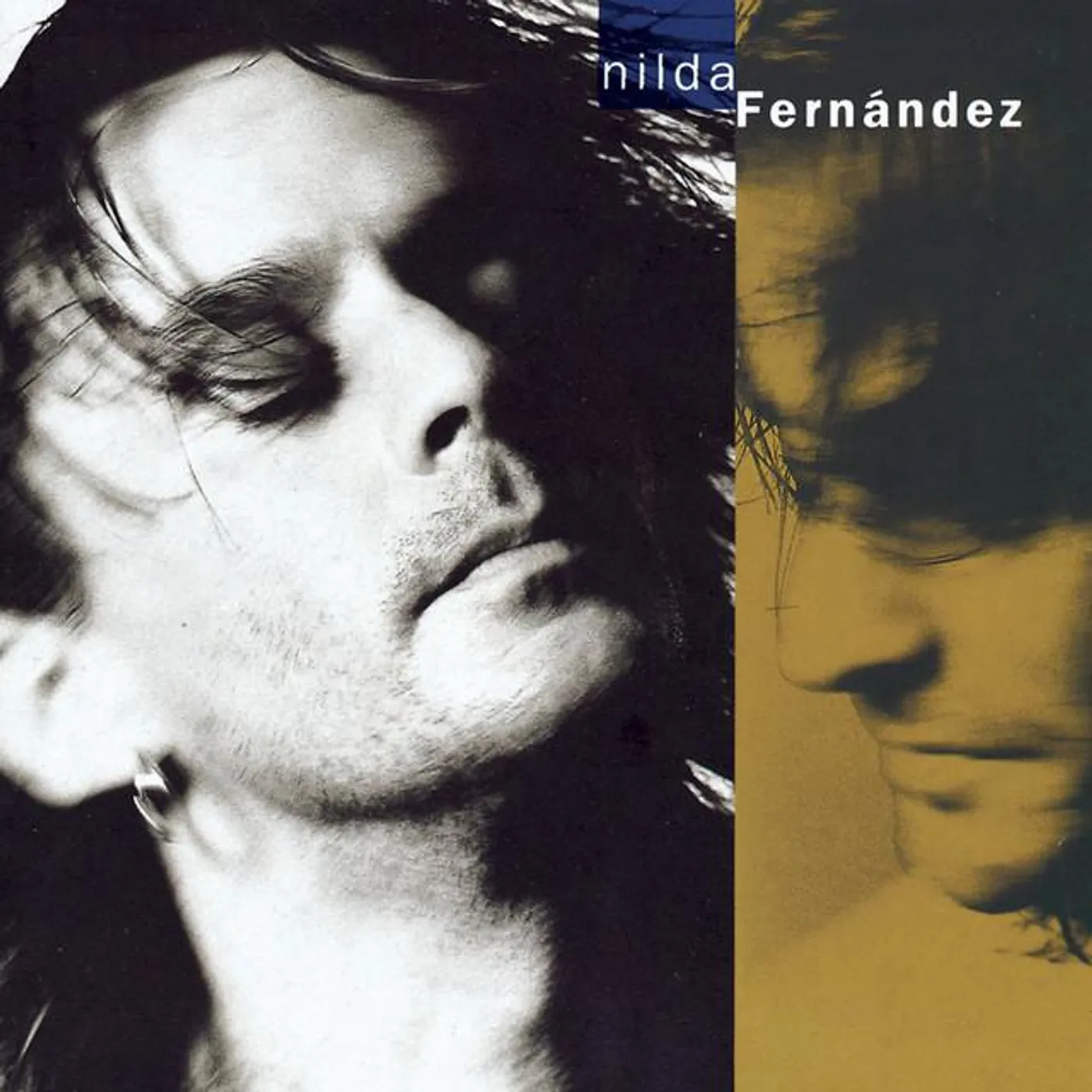 Nilda Fernandez Brand Page