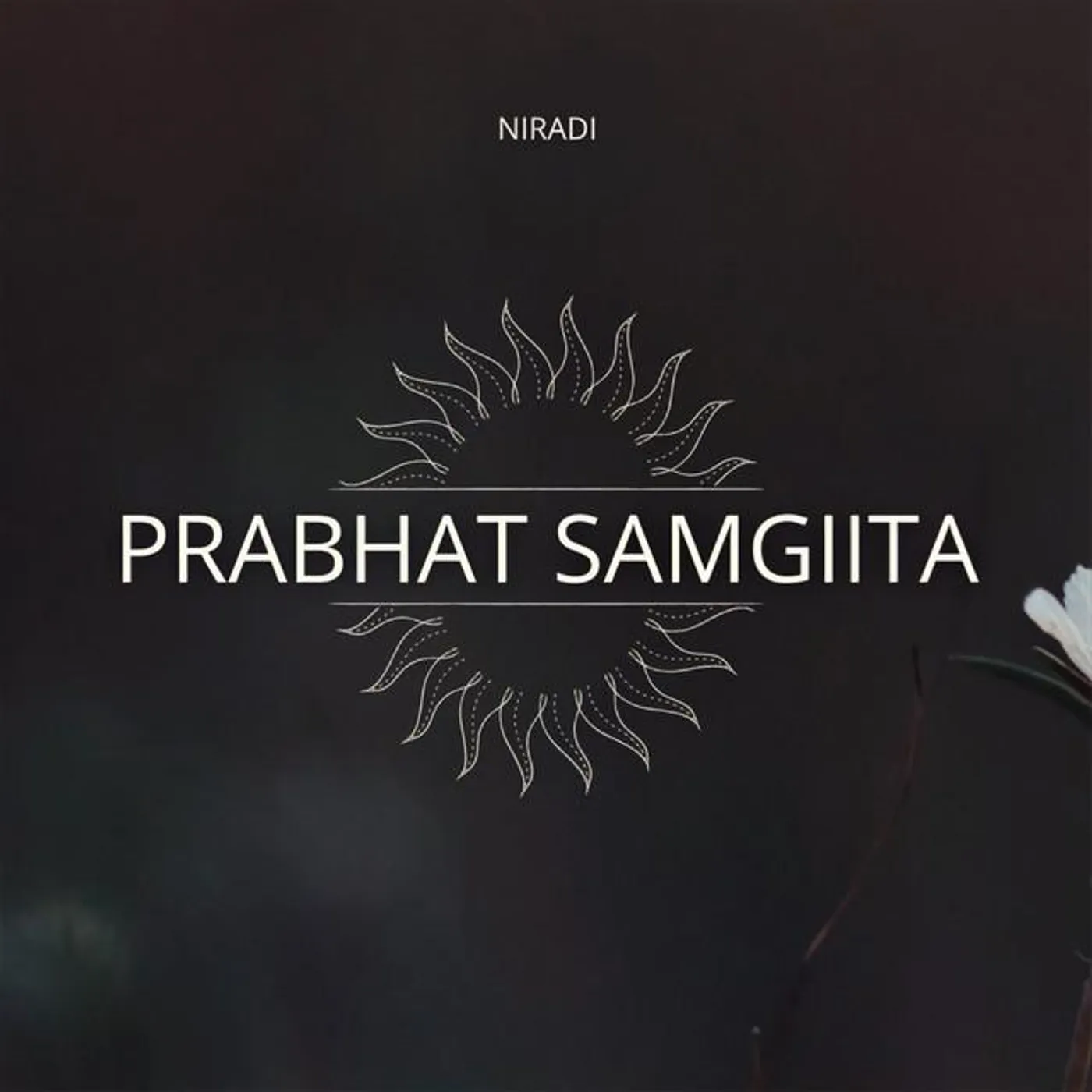 NIRADI Brand Page