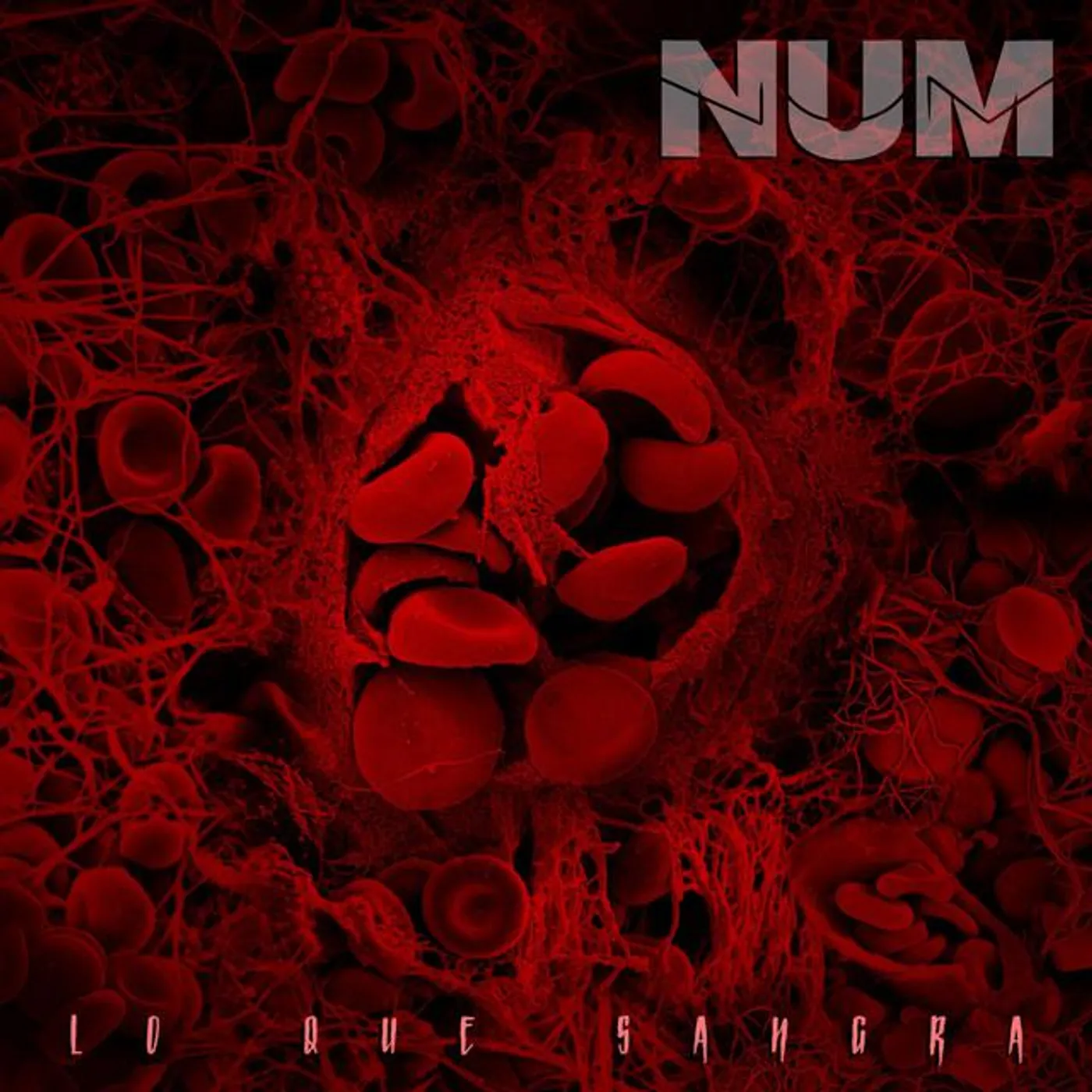 Num