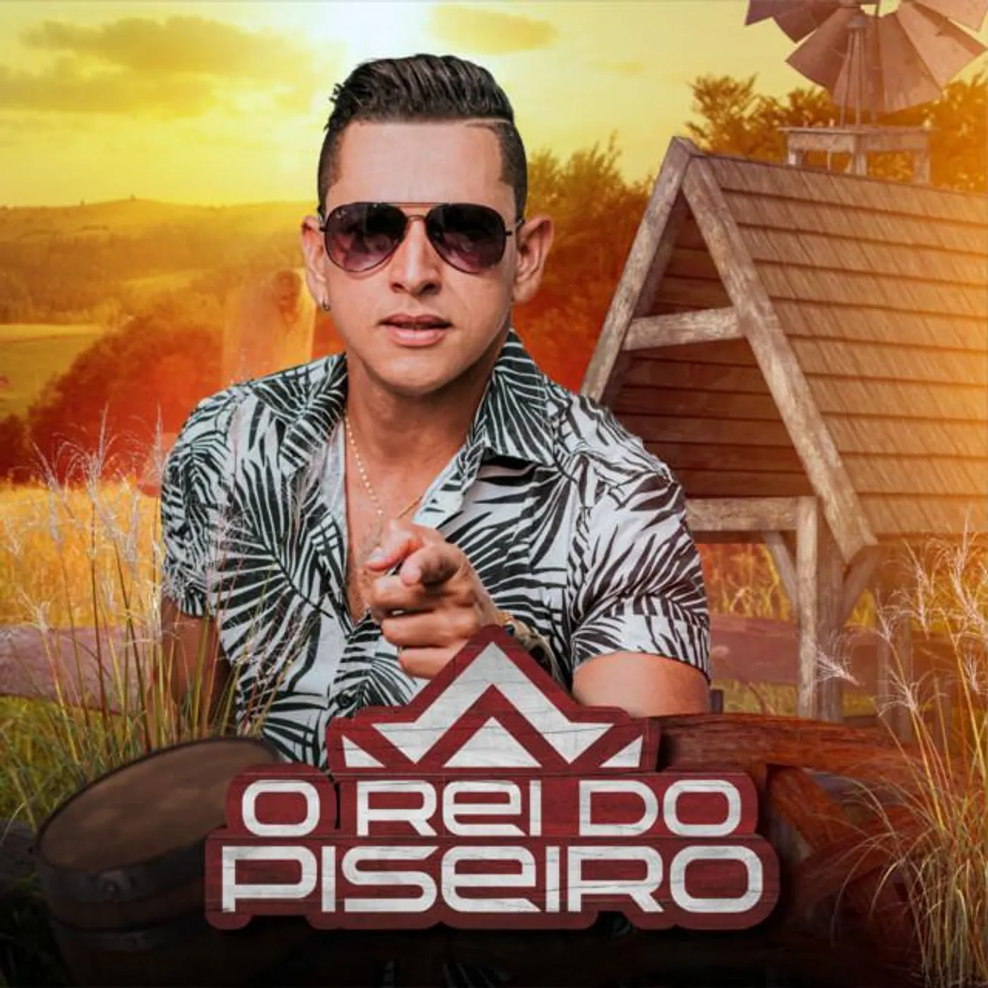 O Rei Do Piseiro