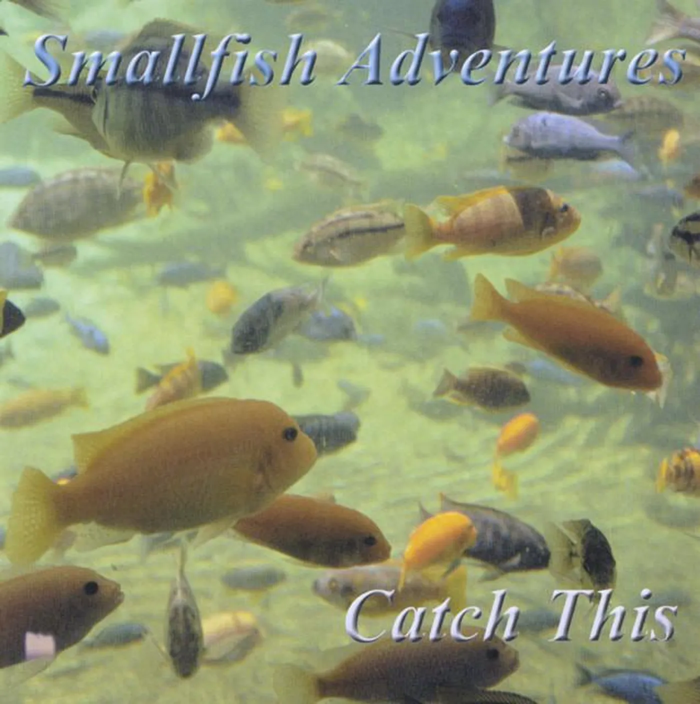 Smallfish