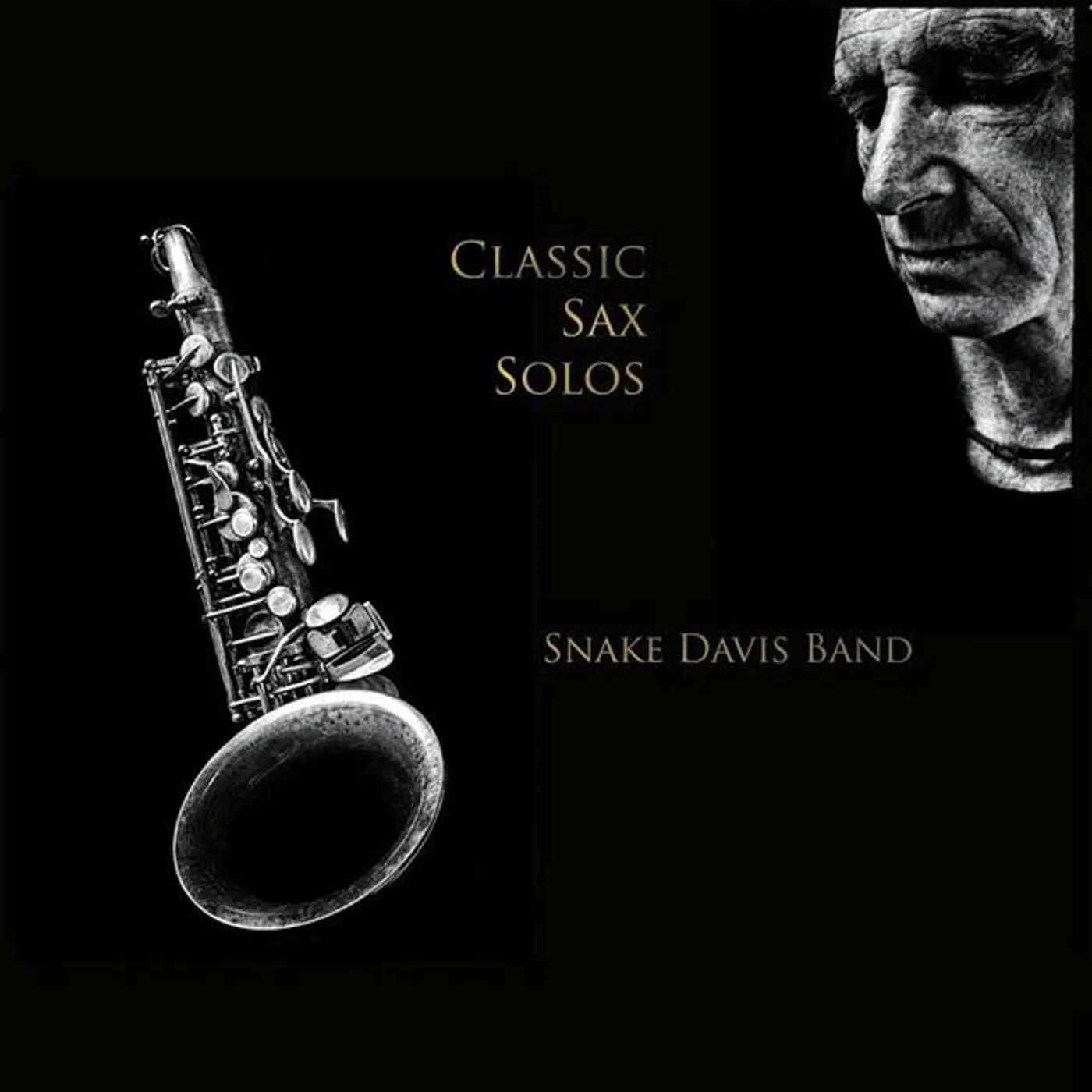 Snake Davis Band Brand Page