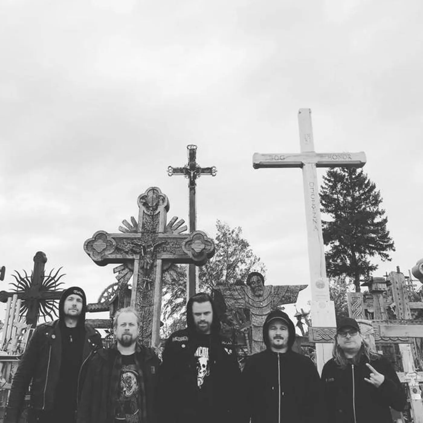 Snake Tongue Brand Page