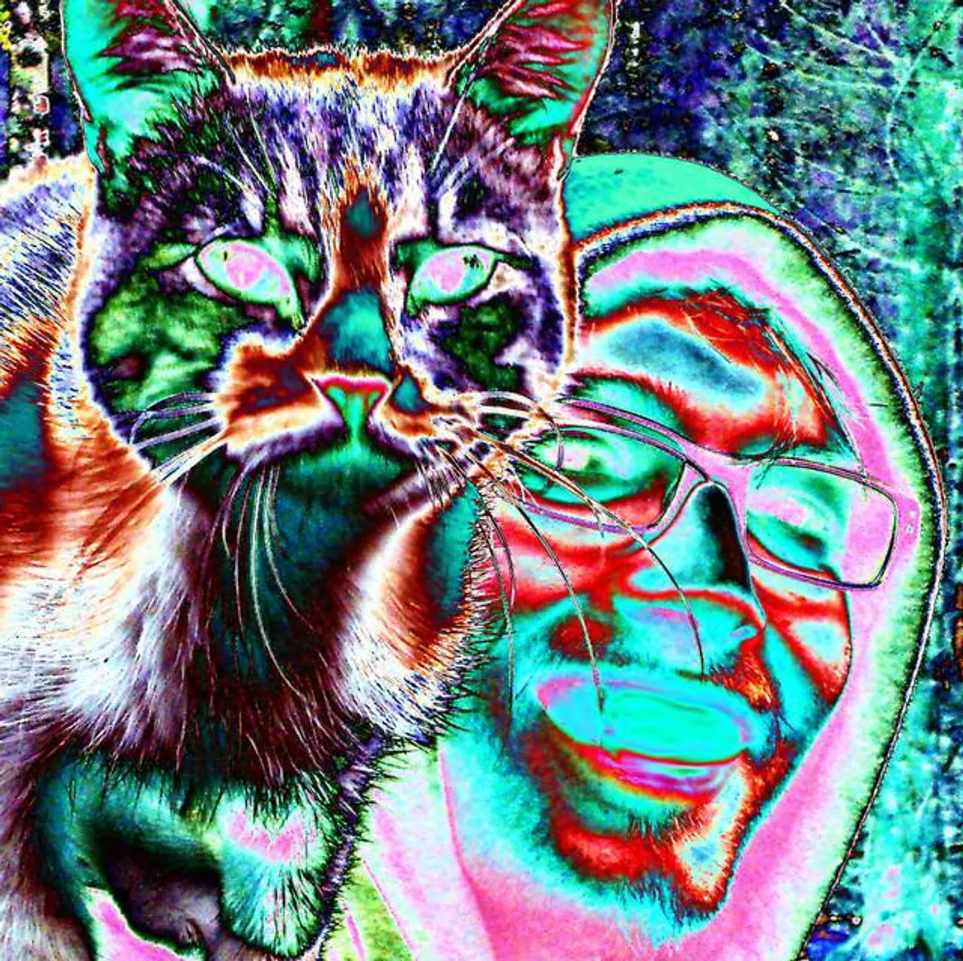 Snild Dolkow