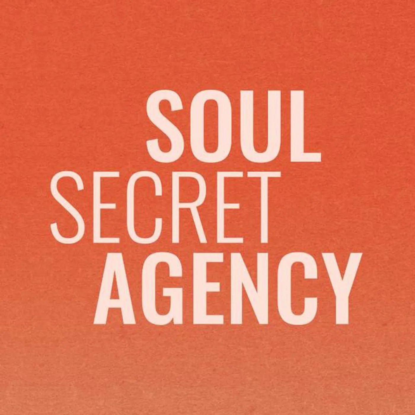 Soul Secret Agency