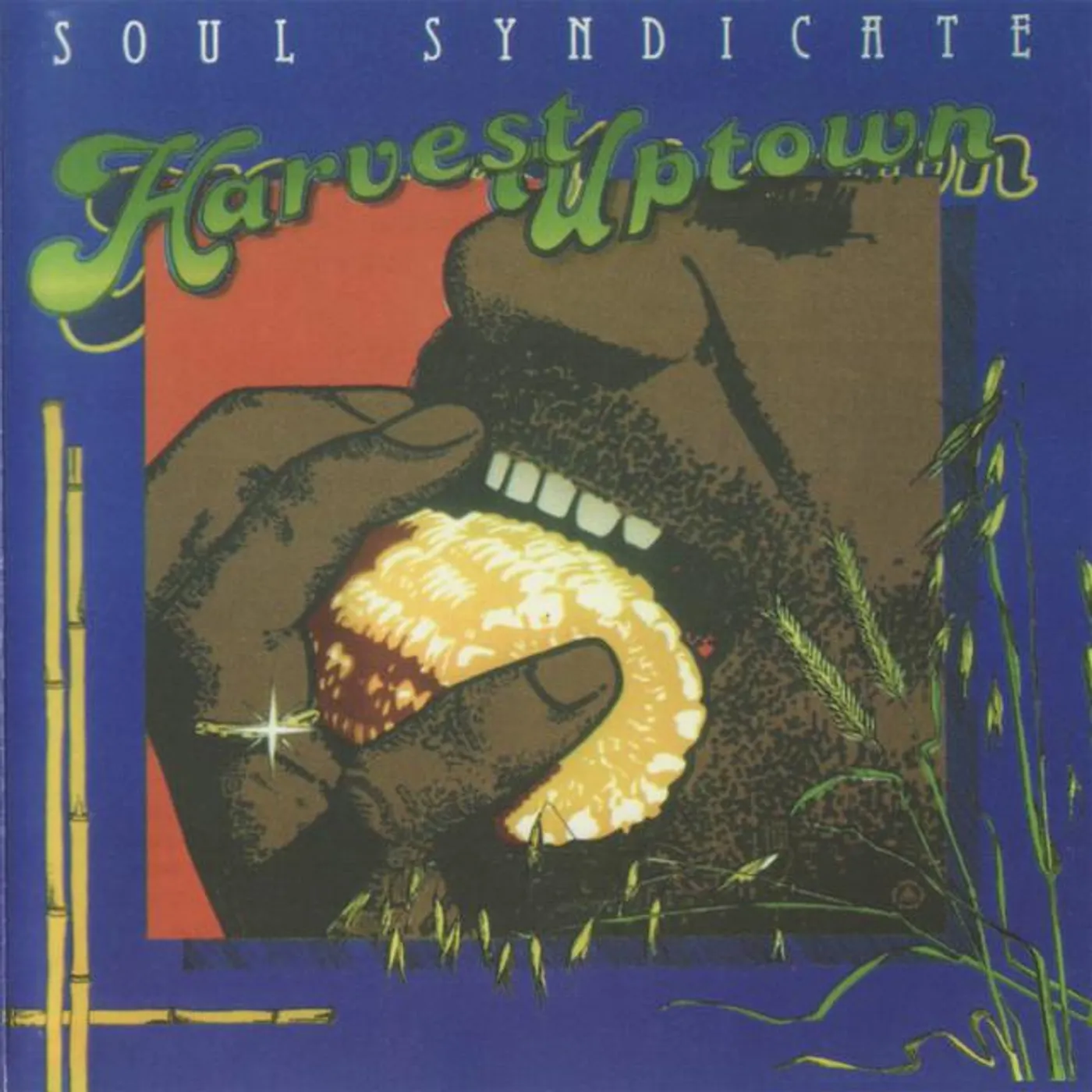 Soul Syndicate Brand Page