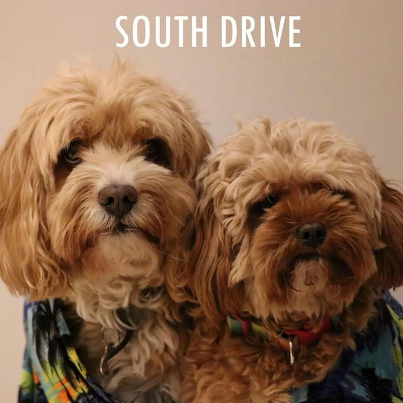 South Drive
