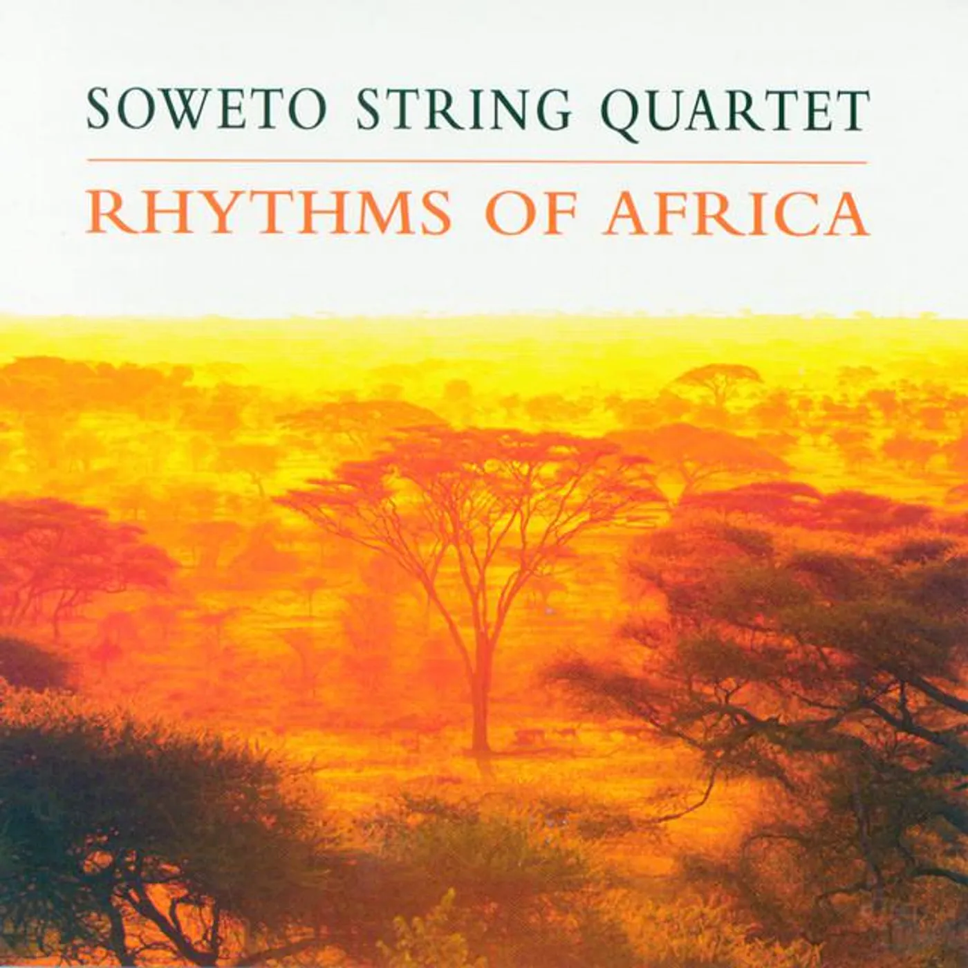 Soweto String Quartet Brand Page