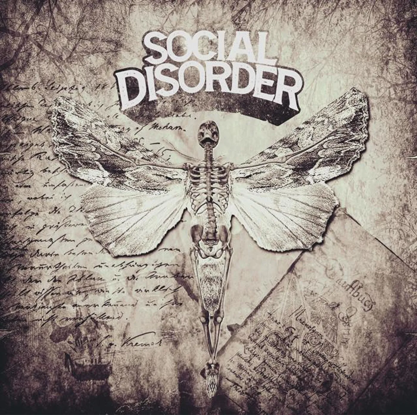 Social Disorder