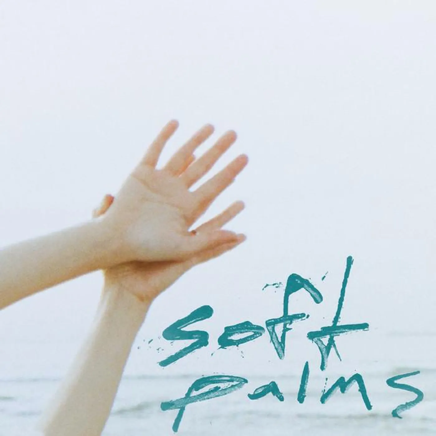 Soft Palms Brand Page
